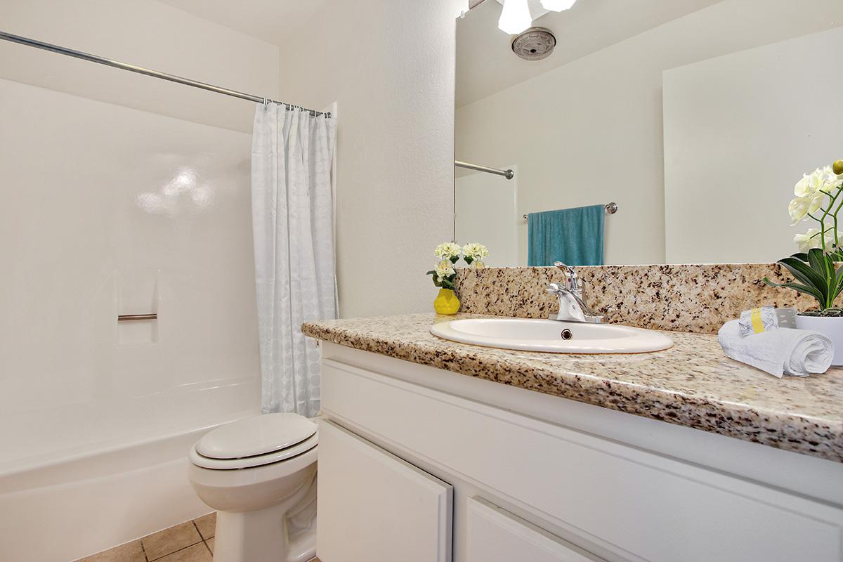 a white sink sitting under a mirror