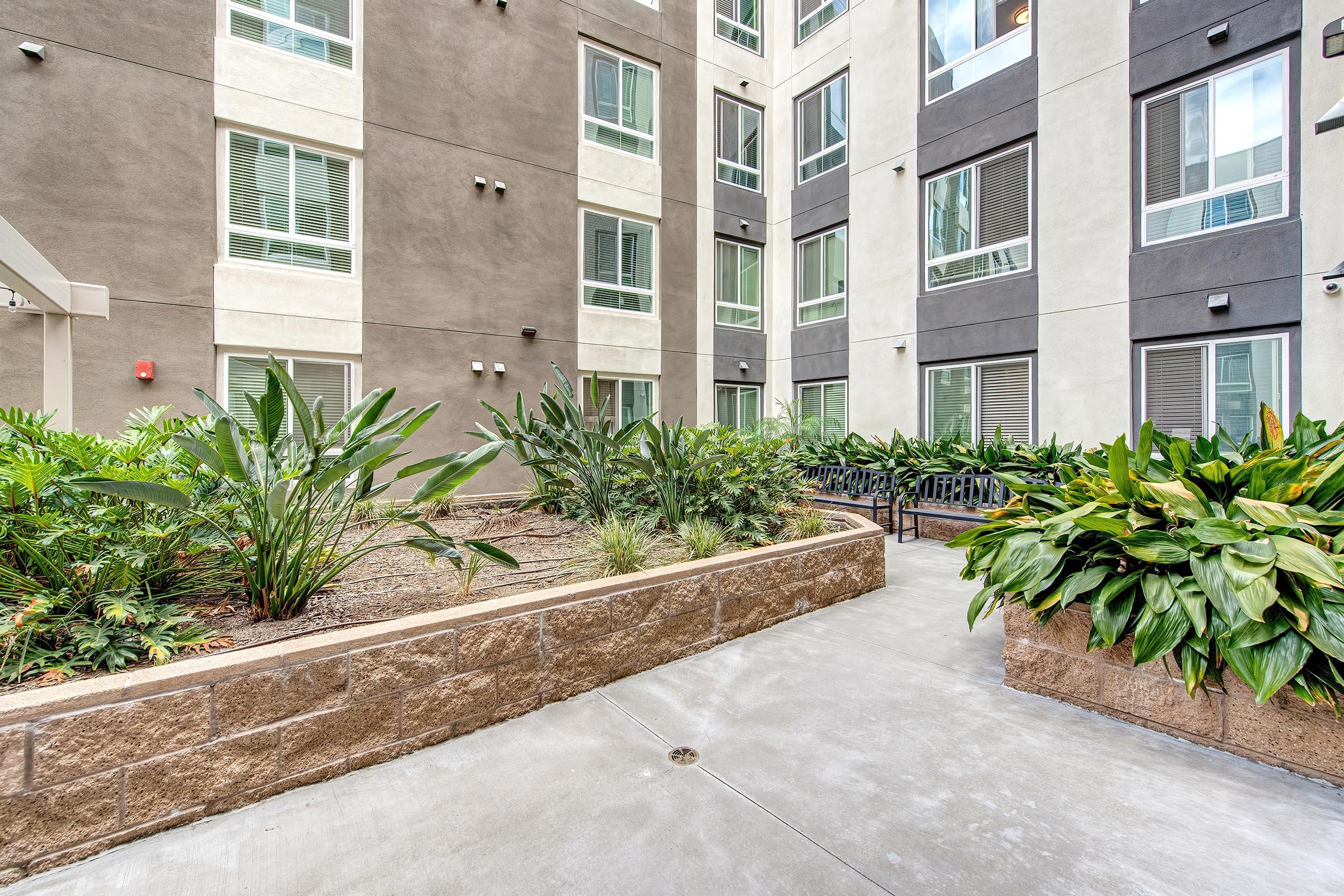 A well-maintained courtyard featuring tropical plants and shrubs, flanked by modern apartment buildings with large windows. A smooth walkway leads through the landscaped area, creating a serene and inviting outdoor space.
