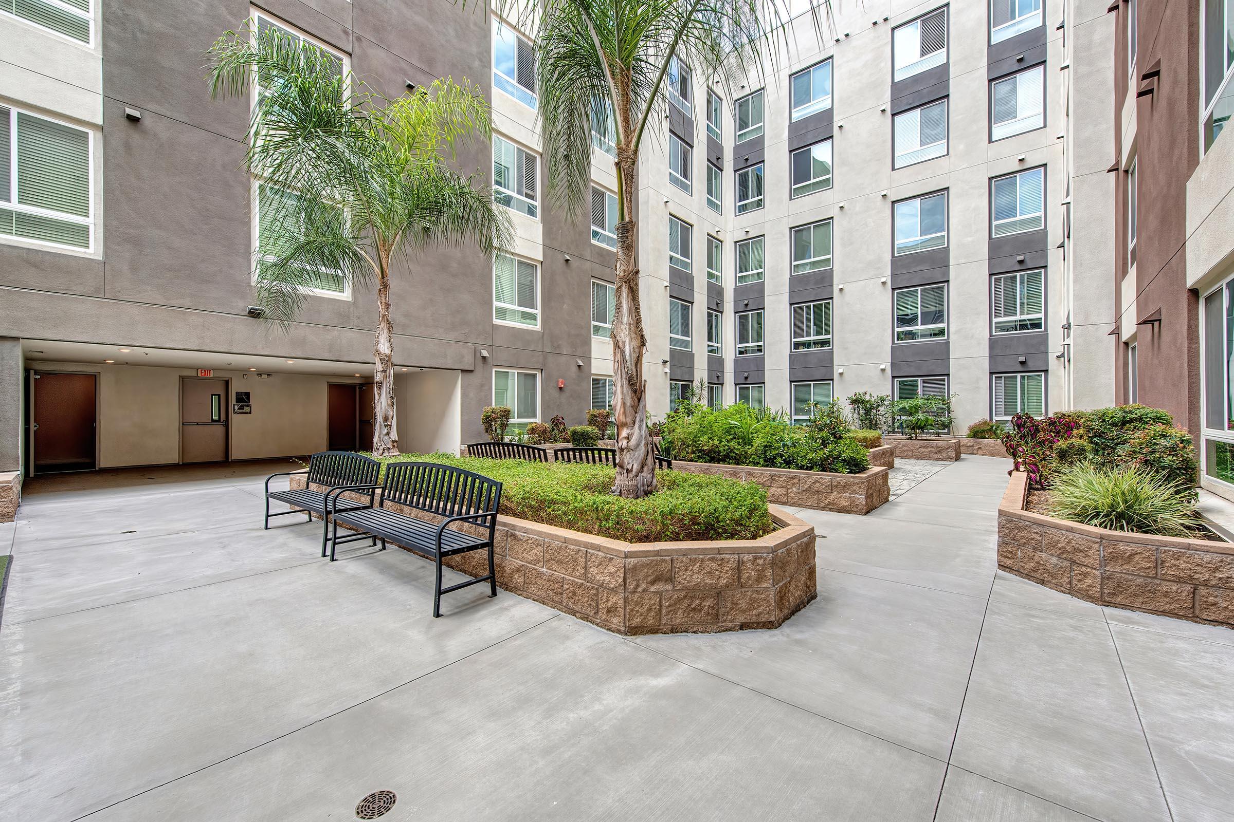 A modern courtyard surrounded by residential buildings, featuring well-maintained landscaping, palm trees, and benches for seating. The area is designed for relaxation and socializing, with a clean, paved walkway connecting different sections of the courtyard.