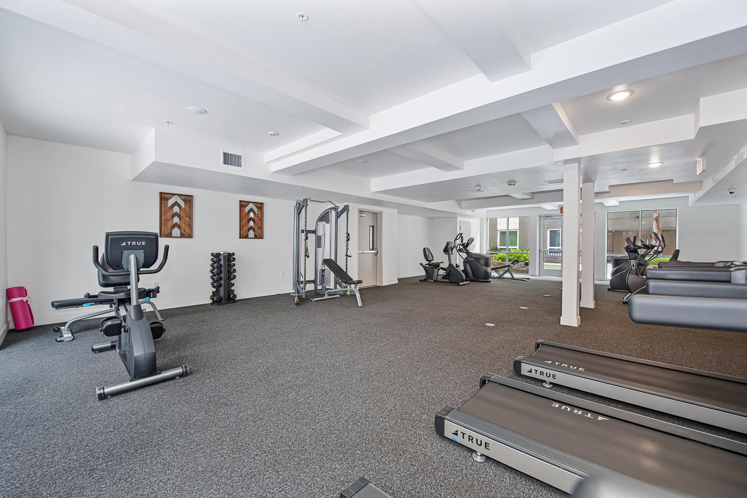 A well-equipped indoor gym featuring various exercise machines including treadmills, a stationary bike, and strength training equipment. The space has a clean, modern design with ample natural light and is organized for optimal workout efficiency. Decor includes wooden wall art and a neatly arranged area for weights.