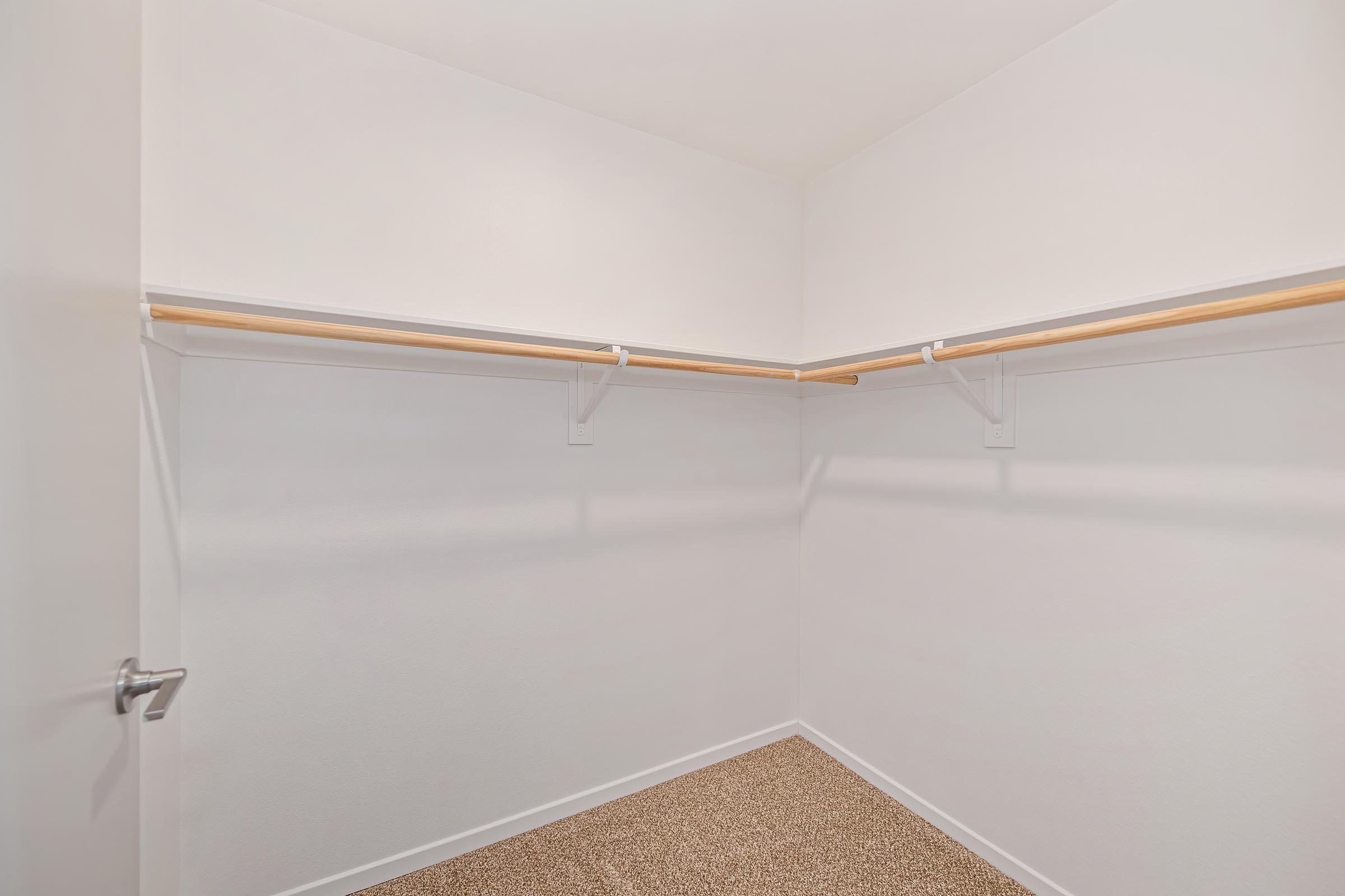 An empty walk-in closet featuring white walls, a single pole for hanging clothes, and a carpeted floor. The closet is well-lit and spacious.