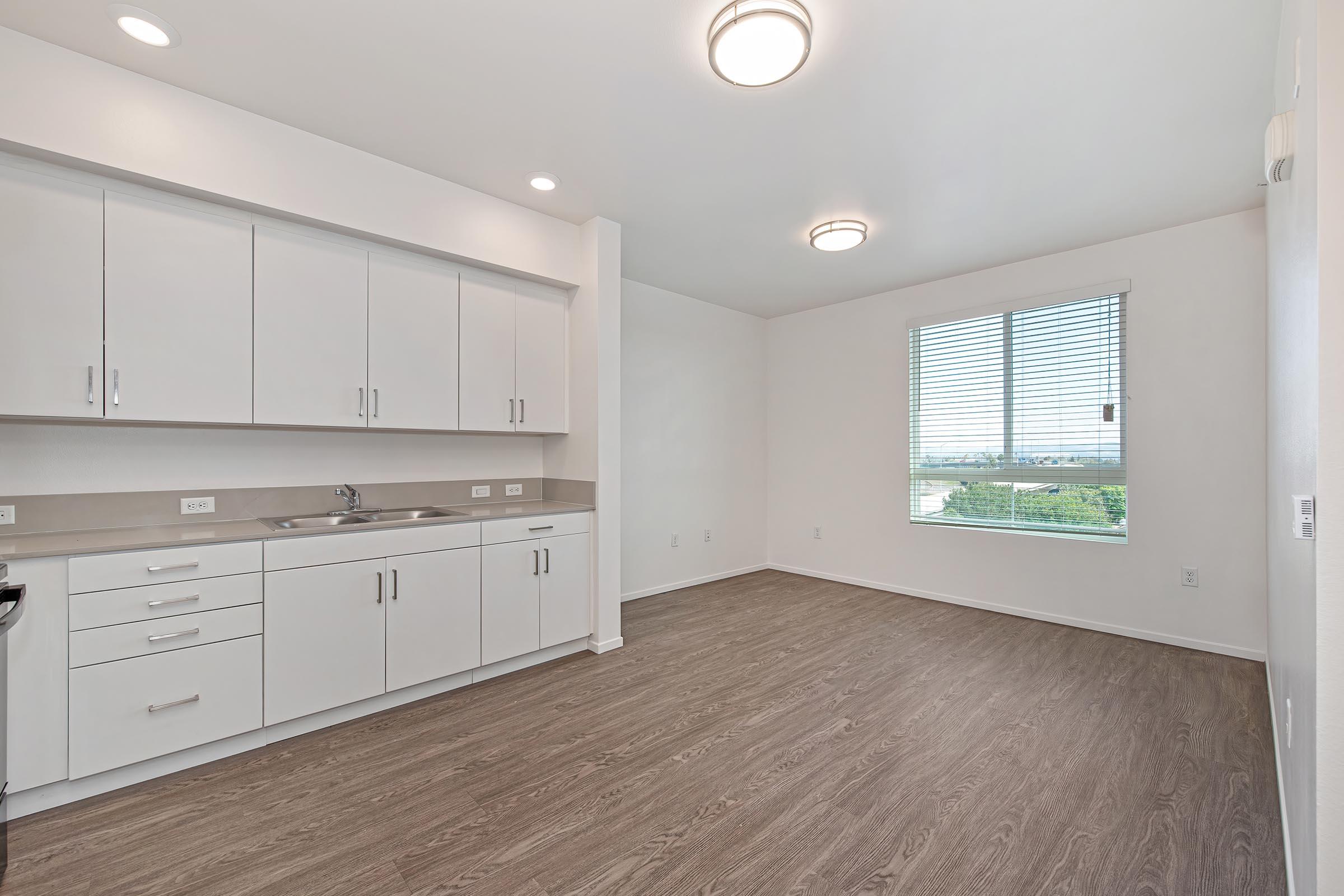 A modern, empty kitchen and living space featuring white cabinetry, a countertop, and a large window with blinds. The room has light-colored walls and dark wood-looking flooring, with overhead lighting fixtures. The view outside the window shows greenery and a clear sky.