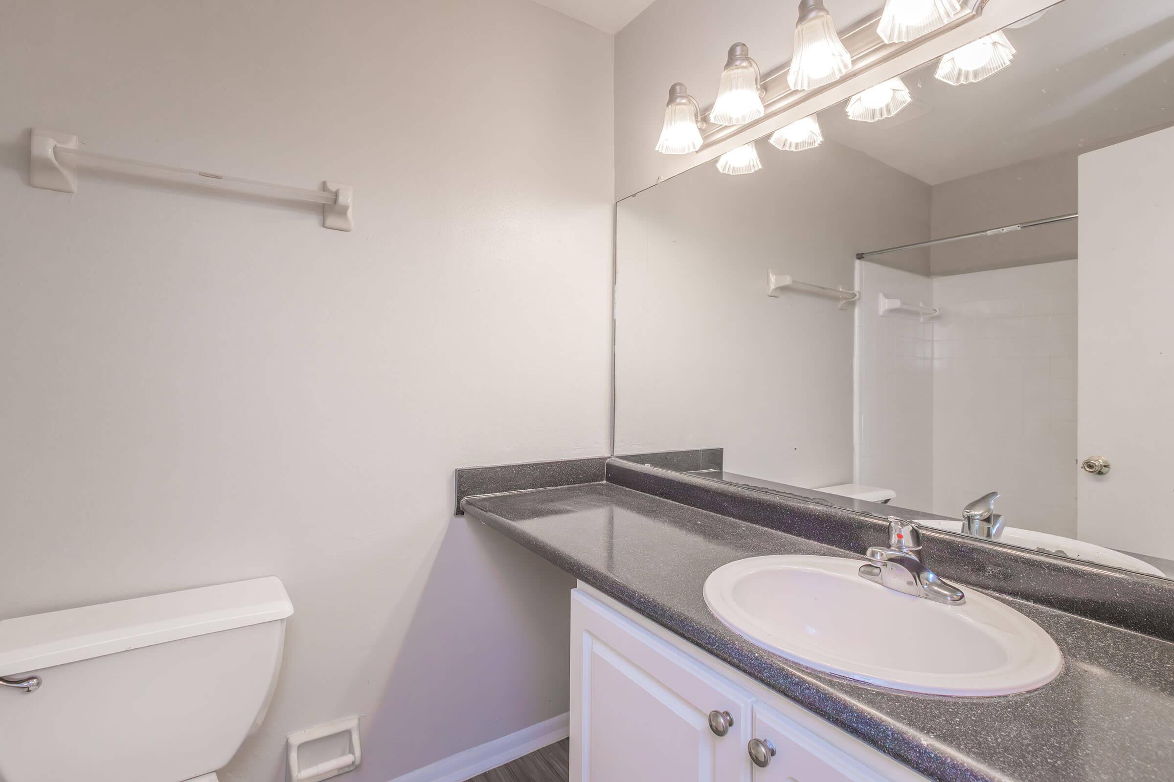 Modern bathroom with a white toilet, a large rectangular mirror above a dark granite countertop, and a sink. Soft lighting is provided by five light fixtures above the mirror. A glass shower stall is visible in the background, along with neutral-colored walls.