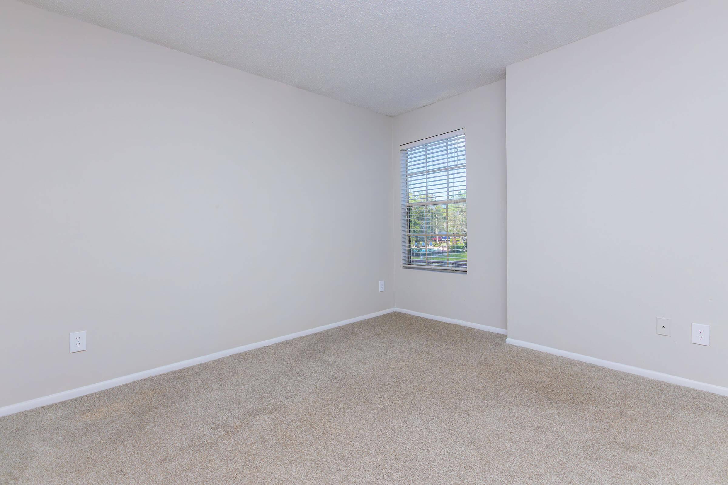 Empty room with light beige carpet and pale gray walls. A single window with blinds allows natural light to enter. The space is clear of furniture, providing a spacious and minimalist atmosphere.