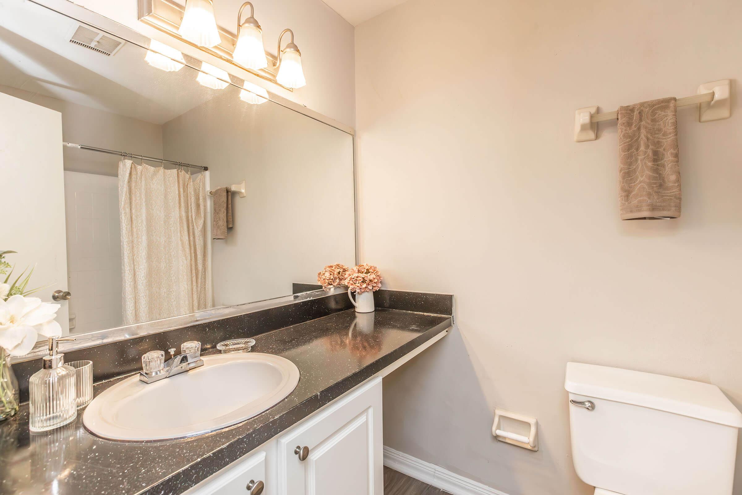 A modern bathroom featuring a mirrored vanity with a round sink, stylish faucet, and decorative vase of flowers. The countertop is dark and sleek, complemented by a towel hanging on the wall. The space includes a shower area with a curtain and a clean, white toilet. Soft lighting enhances the overall inviting atmosphere.