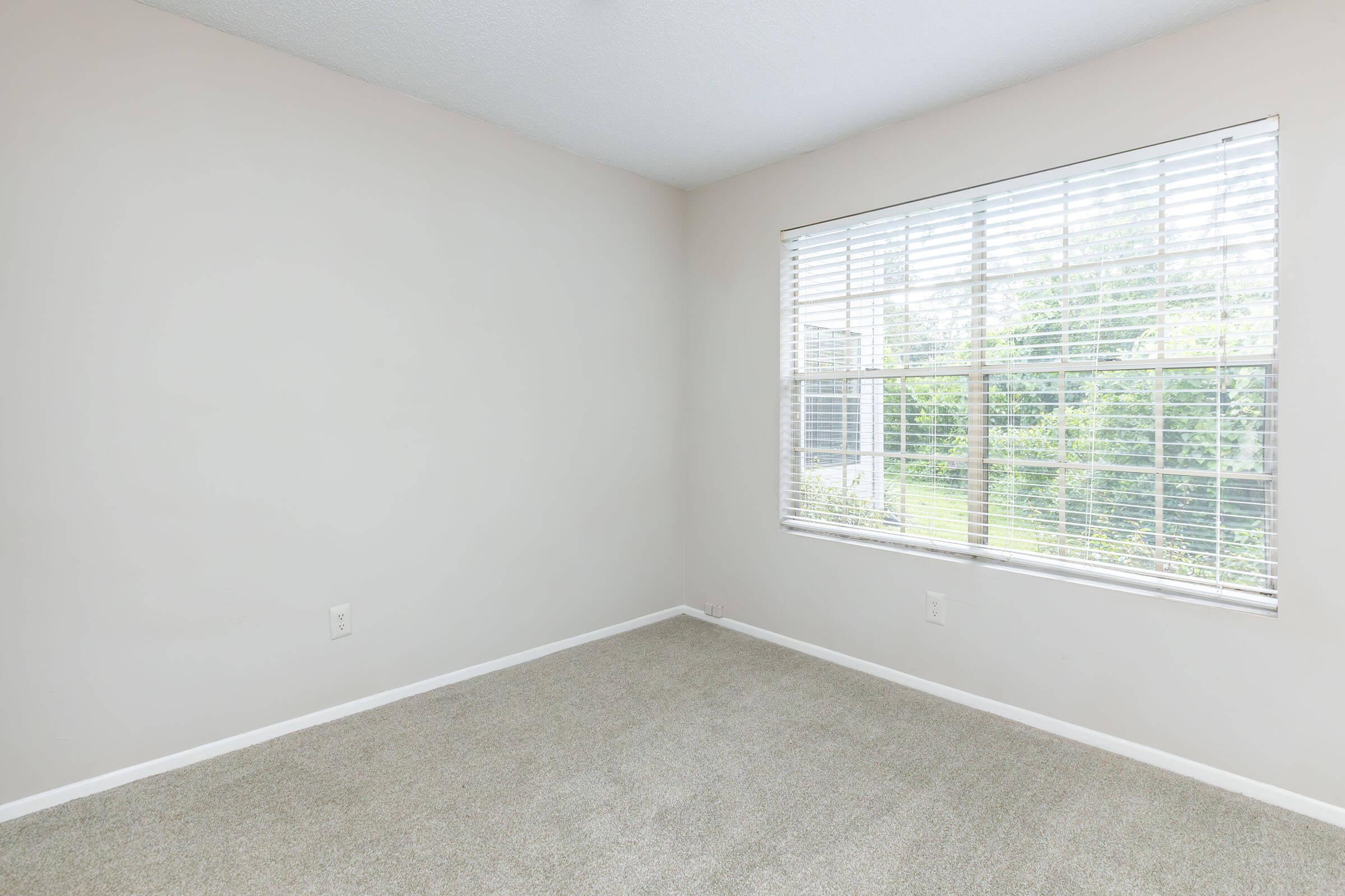 Empty room with light beige walls and gray carpet. A large window with white blinds allows natural light to enter, revealing a view of greenery outside. The space feels bright and airy, suitable for furnishing.