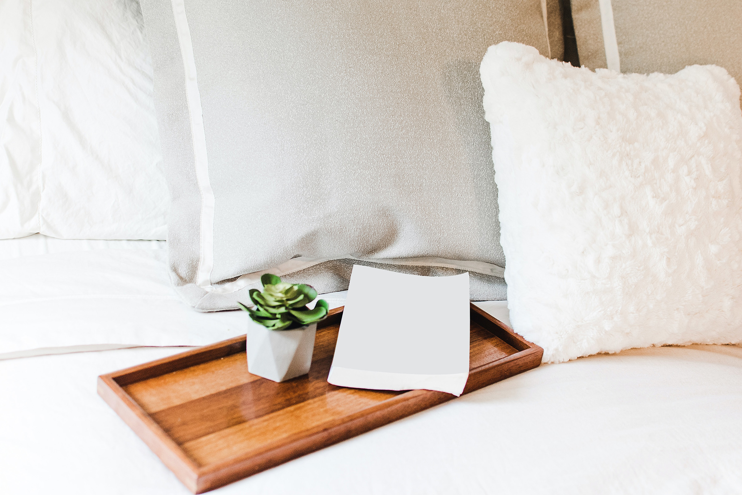 Apartment Features