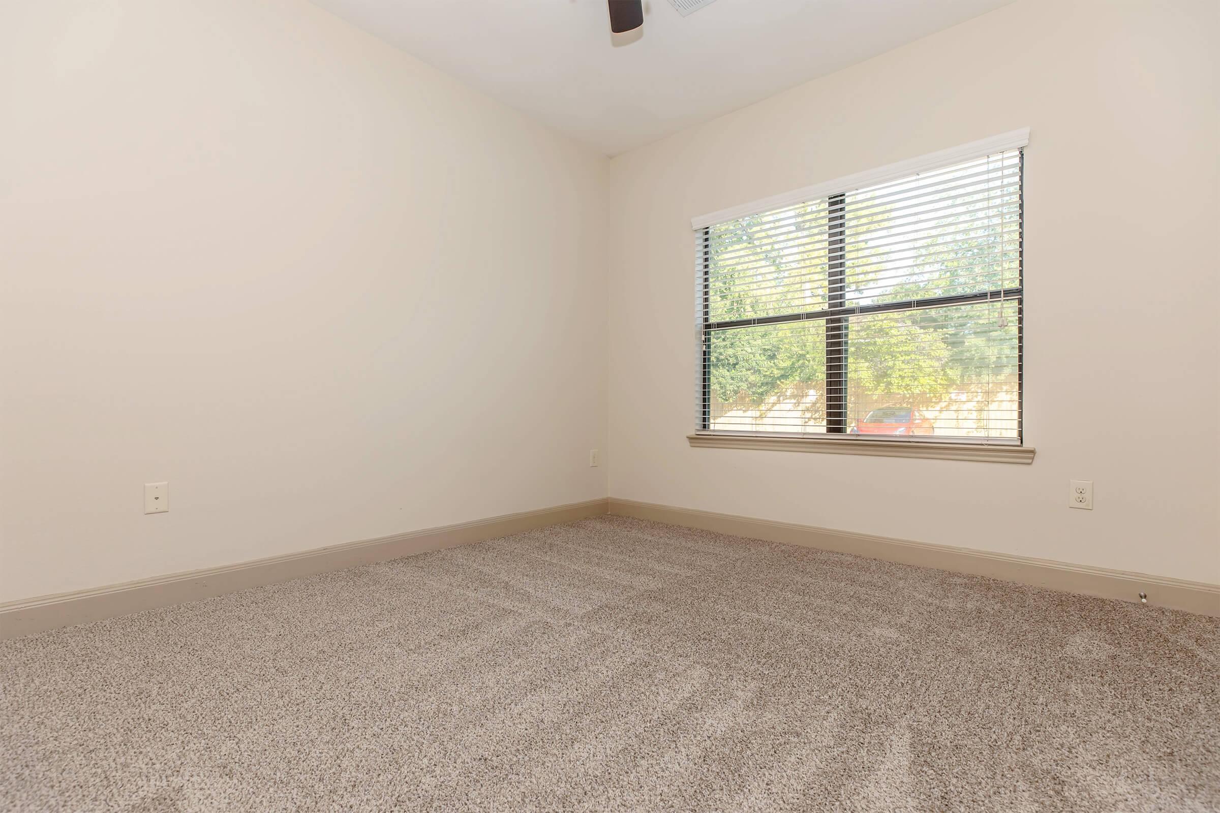A bare room with light-colored walls and a carpeted floor. It features a window with blinds that allow natural light in, revealing a view of greenery outside. There are no furniture or decorations, creating a spacious and minimalist atmosphere.
