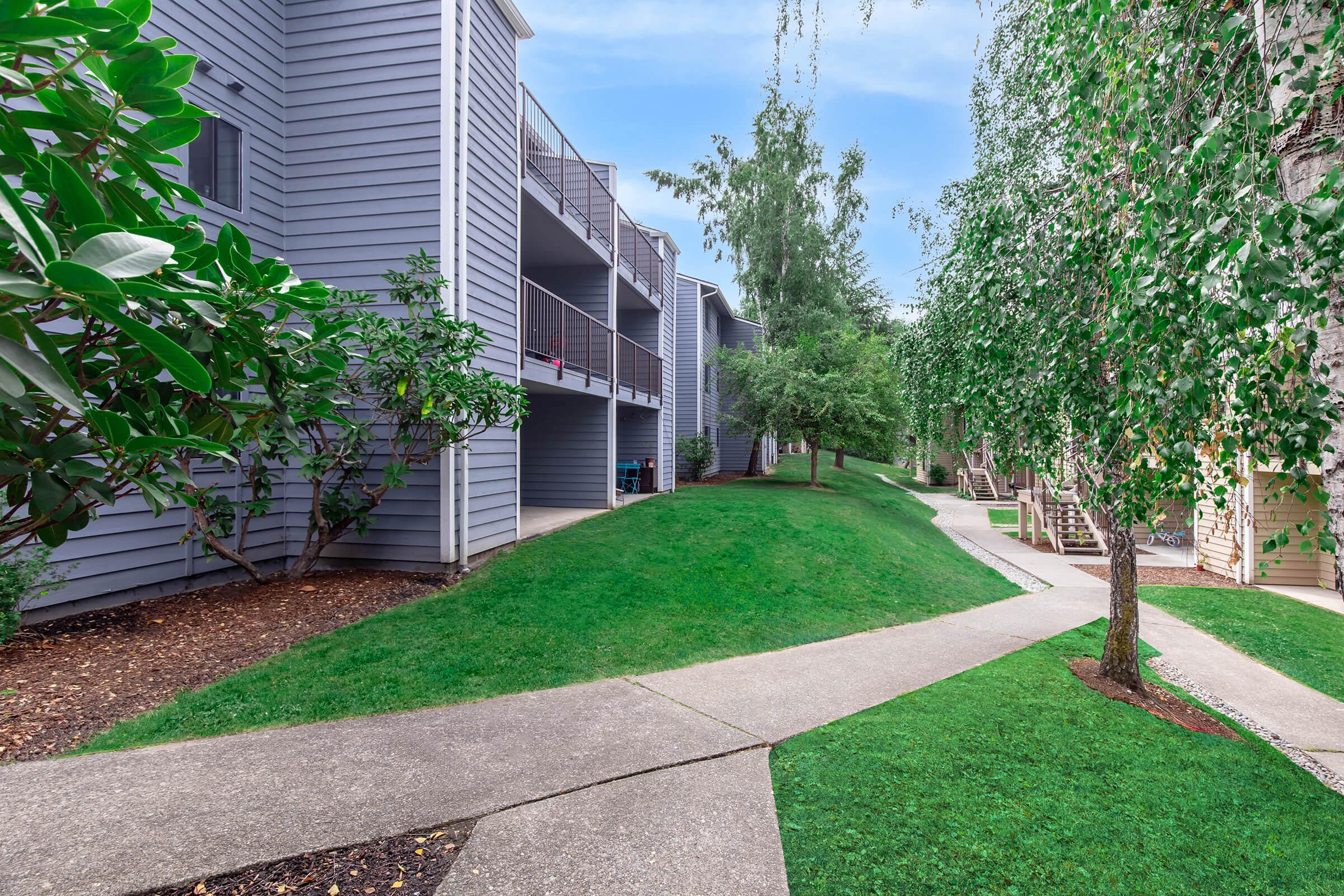 a path with trees on the side of a building