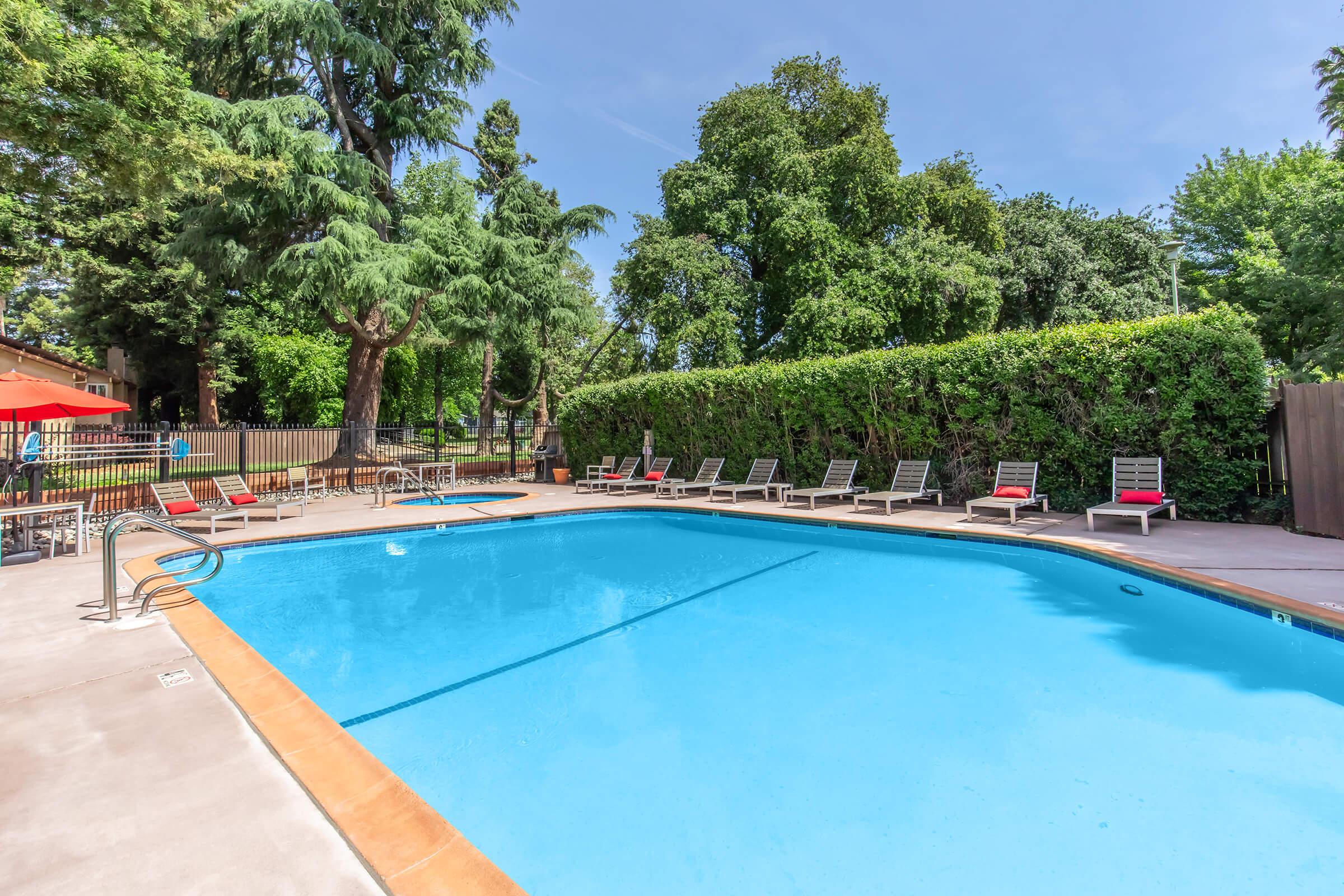 A clear, inviting swimming pool surrounded by lounge chairs and shaded by trees. The pool area features a clean concrete deck, vibrant red umbrellas, and a lush green hedge providing privacy. The sky is bright and sunny, creating a relaxing atmosphere for leisure and recreation.