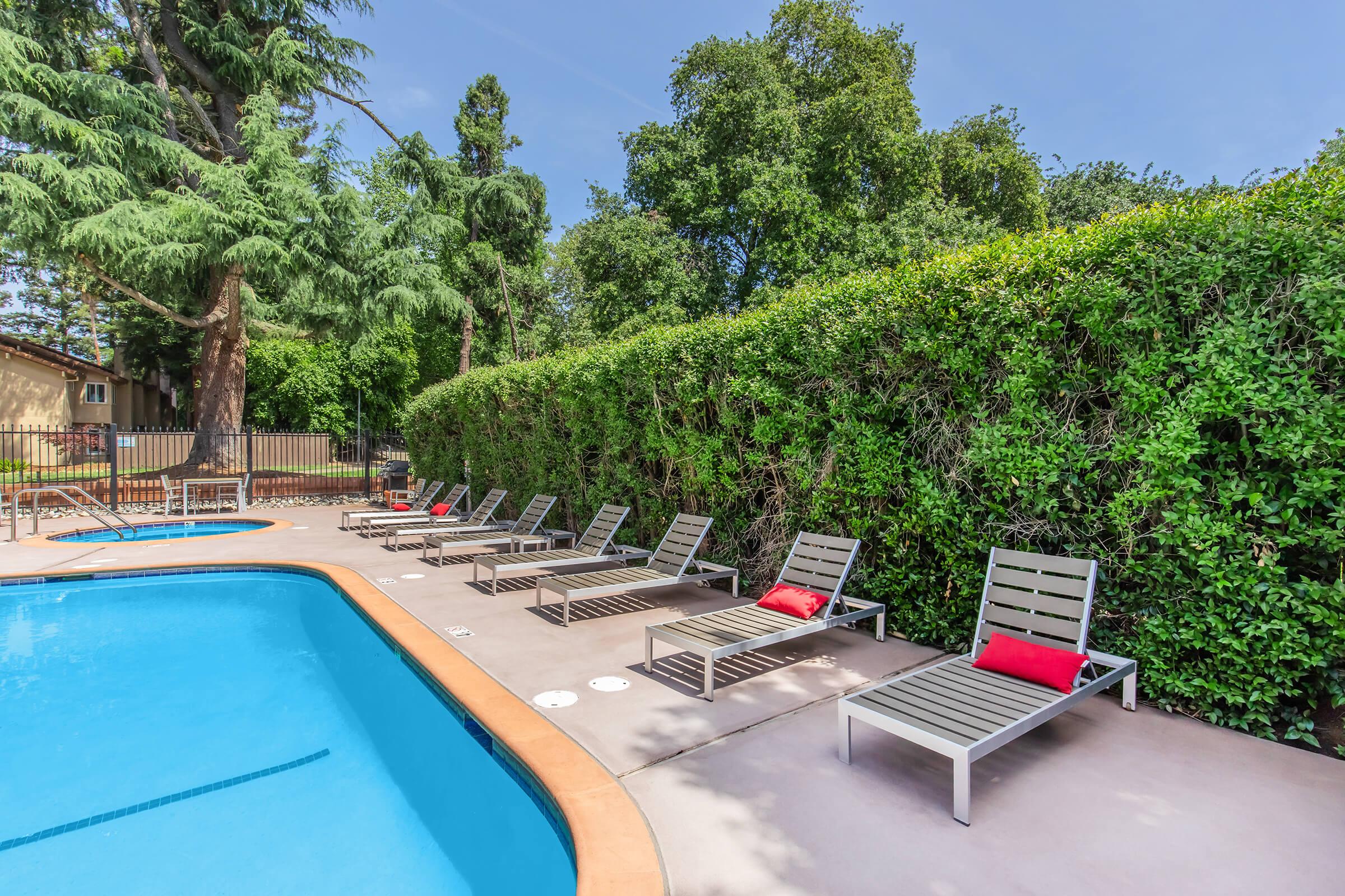A sunny backyard pool area featuring a blue swimming pool surrounded by lounge chairs with red cushions. Lush green hedges provide privacy, and there are several tall trees in the background, creating a relaxing outdoor atmosphere.