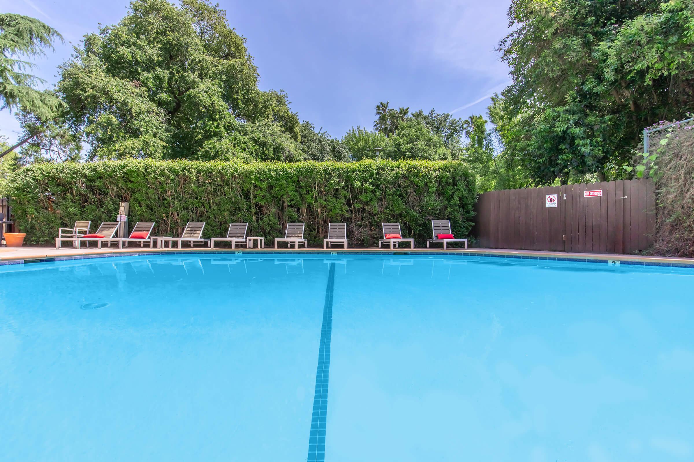 A clear blue swimming pool surrounded by a green hedge and a wooden fence. Several lounge chairs are arranged along the side of the pool, with some chairs featuring red cushions. The sky is bright and blue, indicating a sunny day.