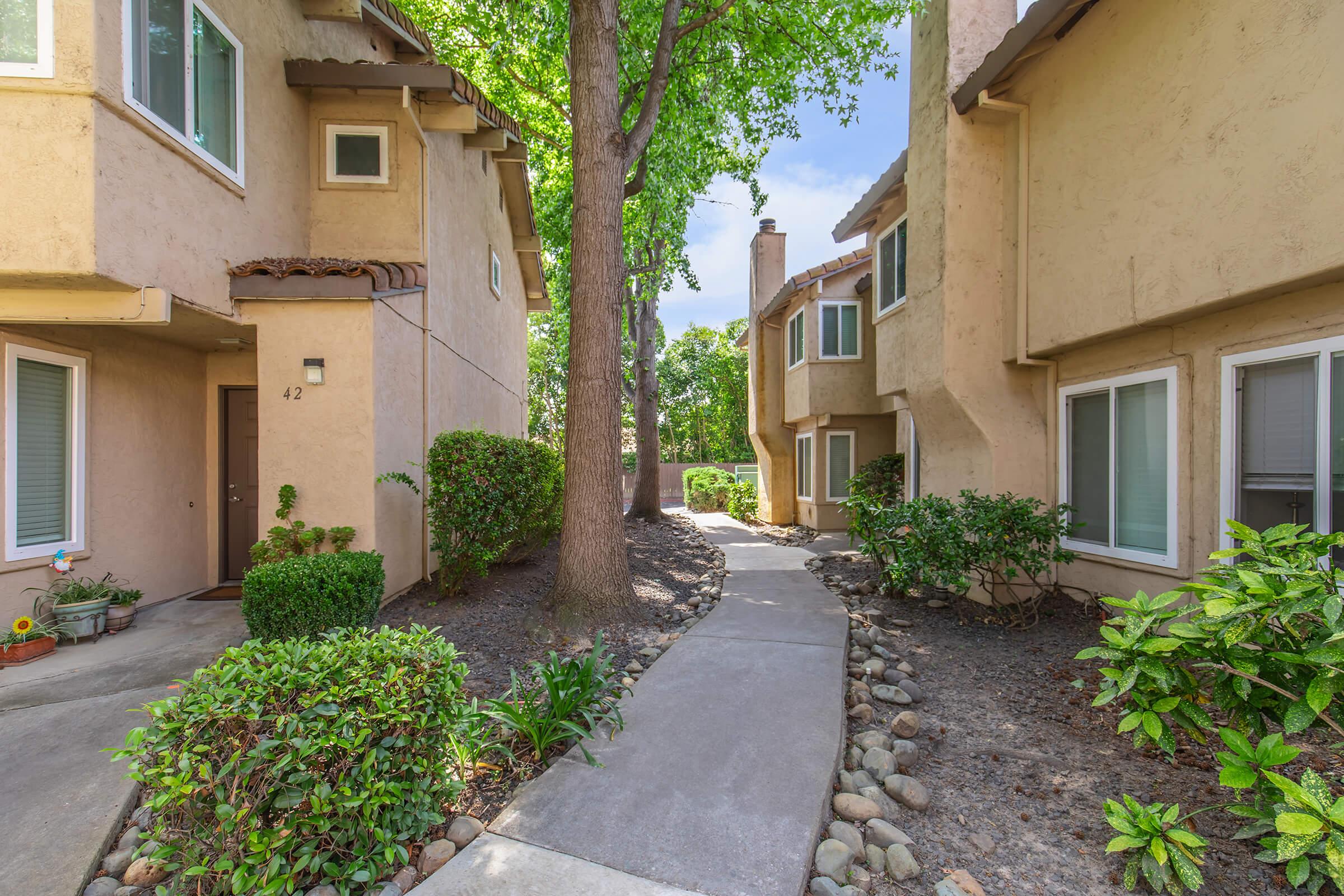 A well-maintained walkway between two residential buildings, surrounded by greenery. The path is lined with shrubs and small trees, with a clear blue sky overhead. The buildings have light-colored walls and windows, creating a welcoming atmosphere.