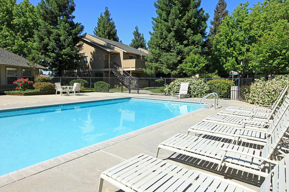 Relax beside the pool at Madera Villa