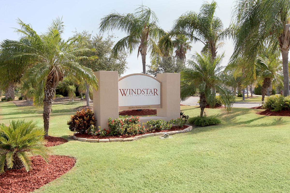 a large lawn in front of a palm tree