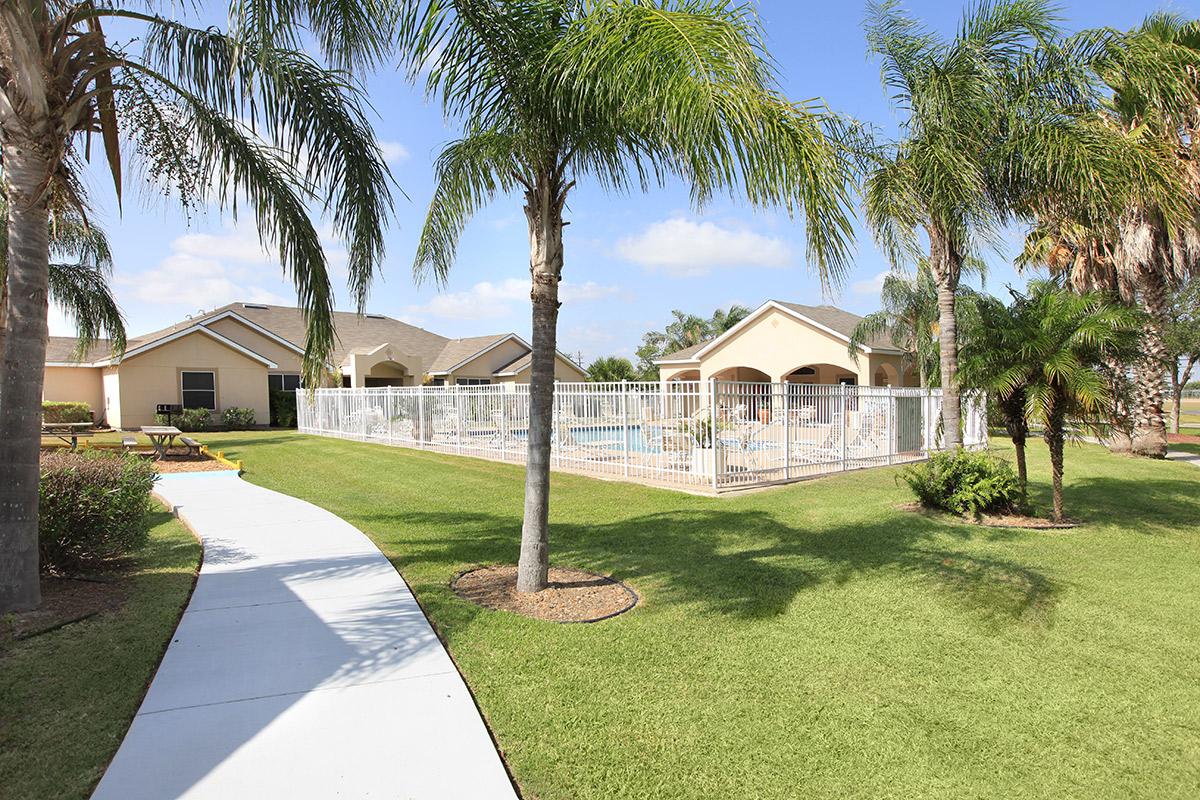 a house with a lawn in front of a palm tree