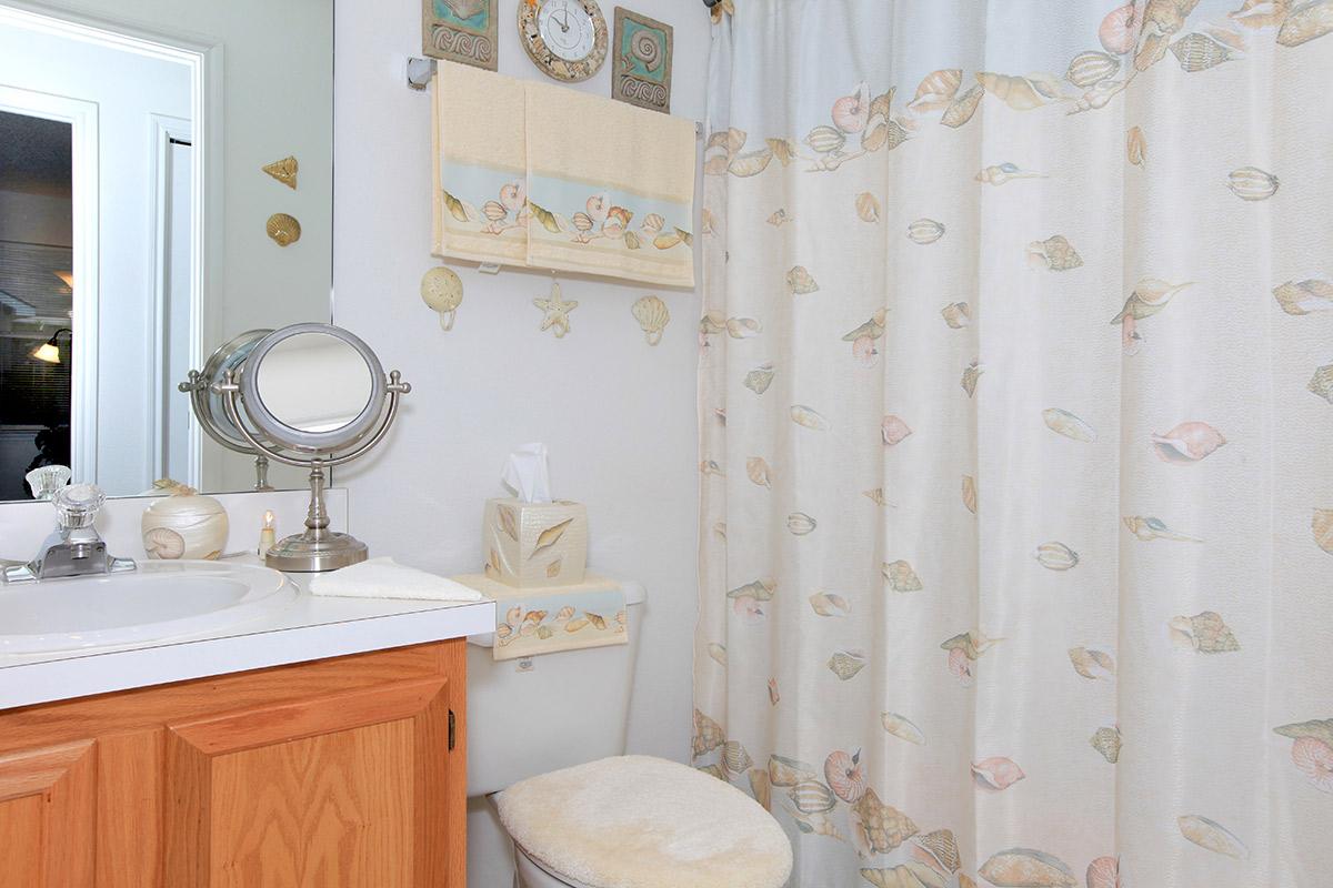 a shower curtain next to a sink