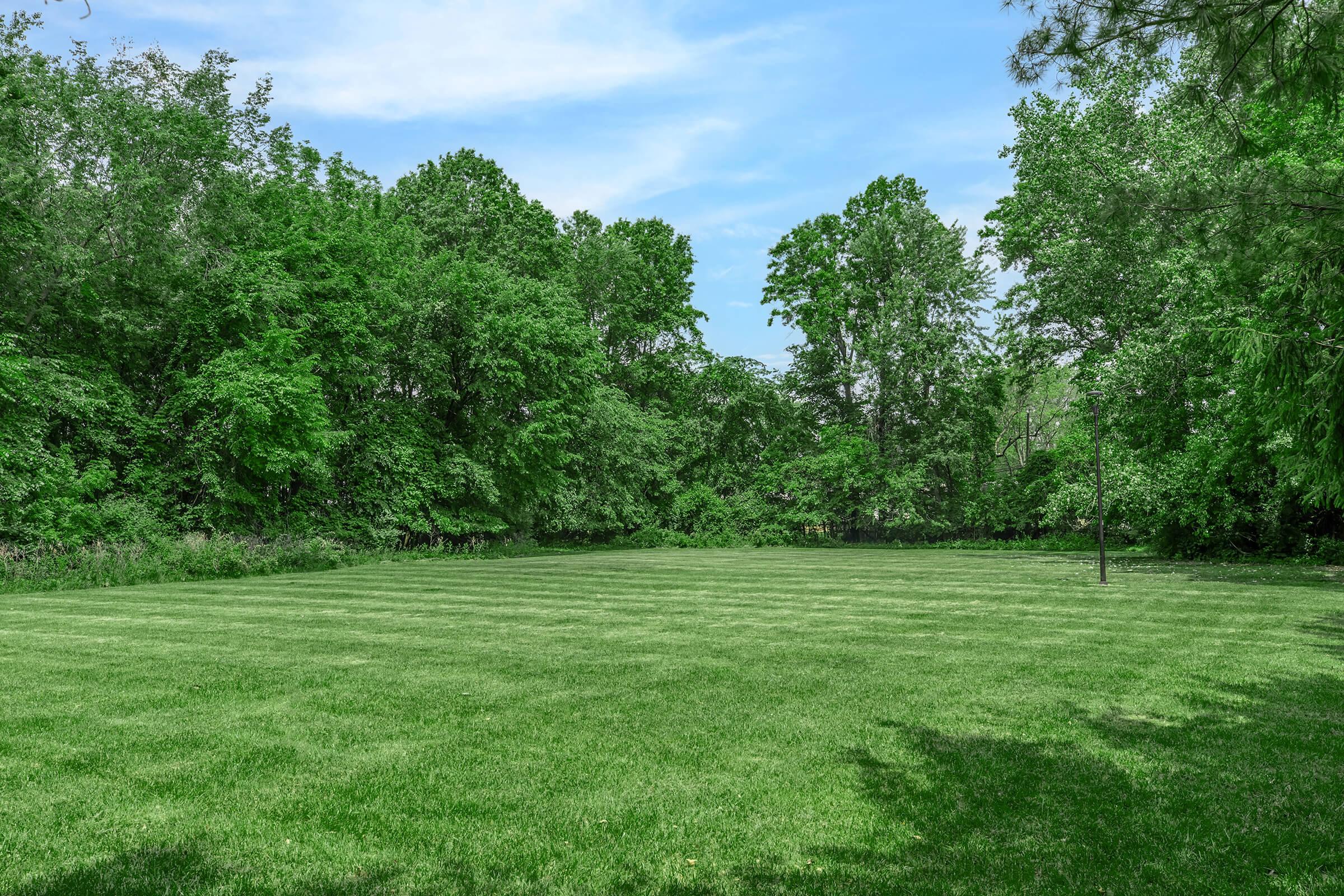 A spacious green lawn surrounded by dense trees and shrubs under a clear blue sky. The area is well-maintained with freshly cut grass, creating a serene and inviting natural environment, ideal for outdoor activities or relaxation.
