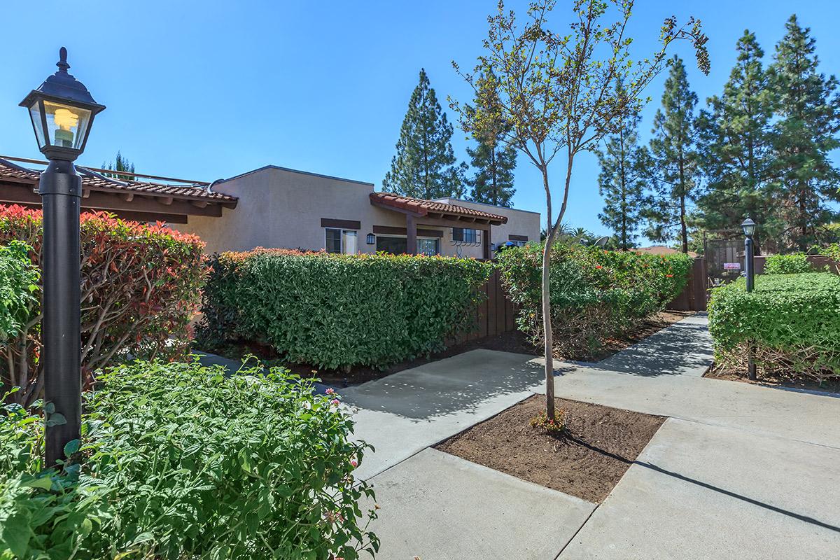 a house with bushes in front of a building