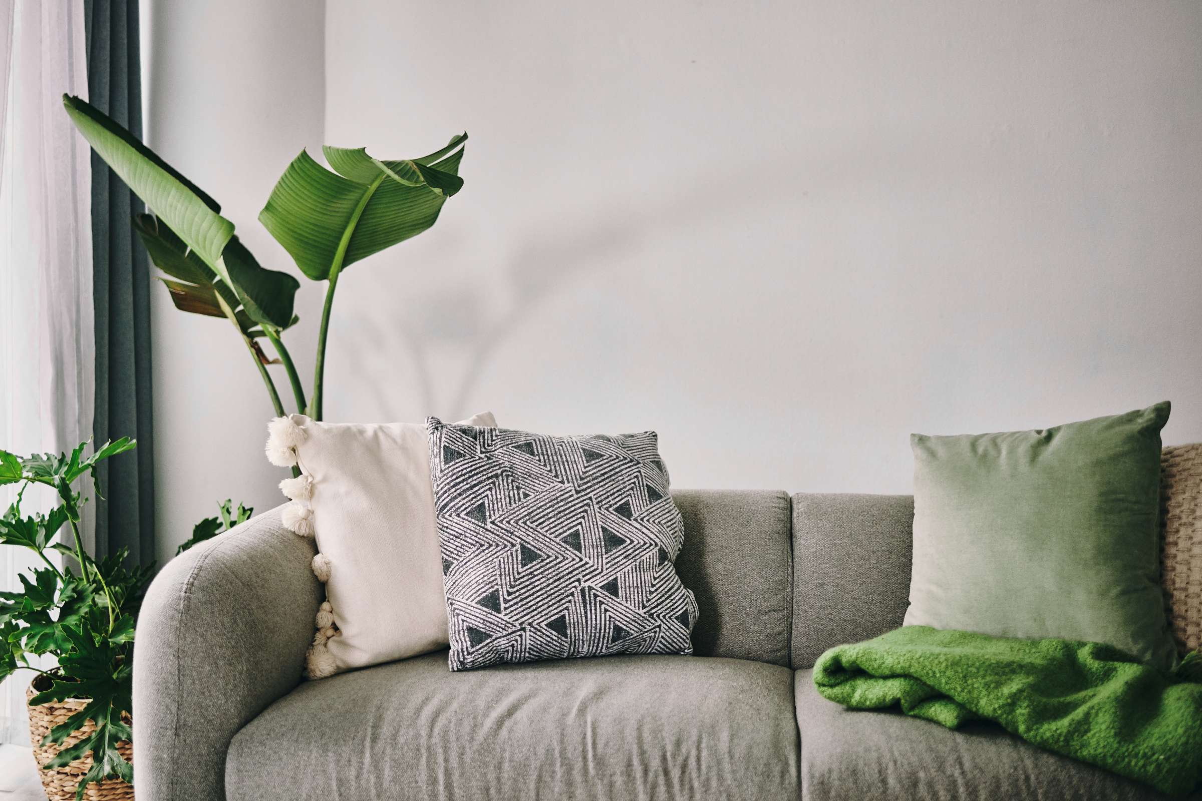 Apartment Features