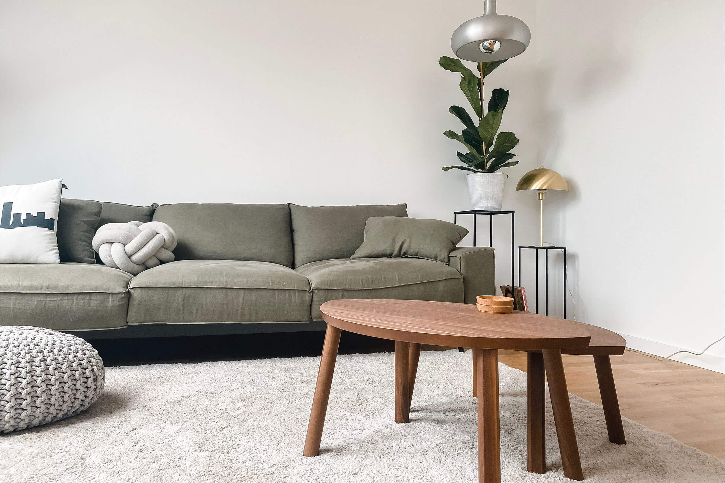 Apartment Features