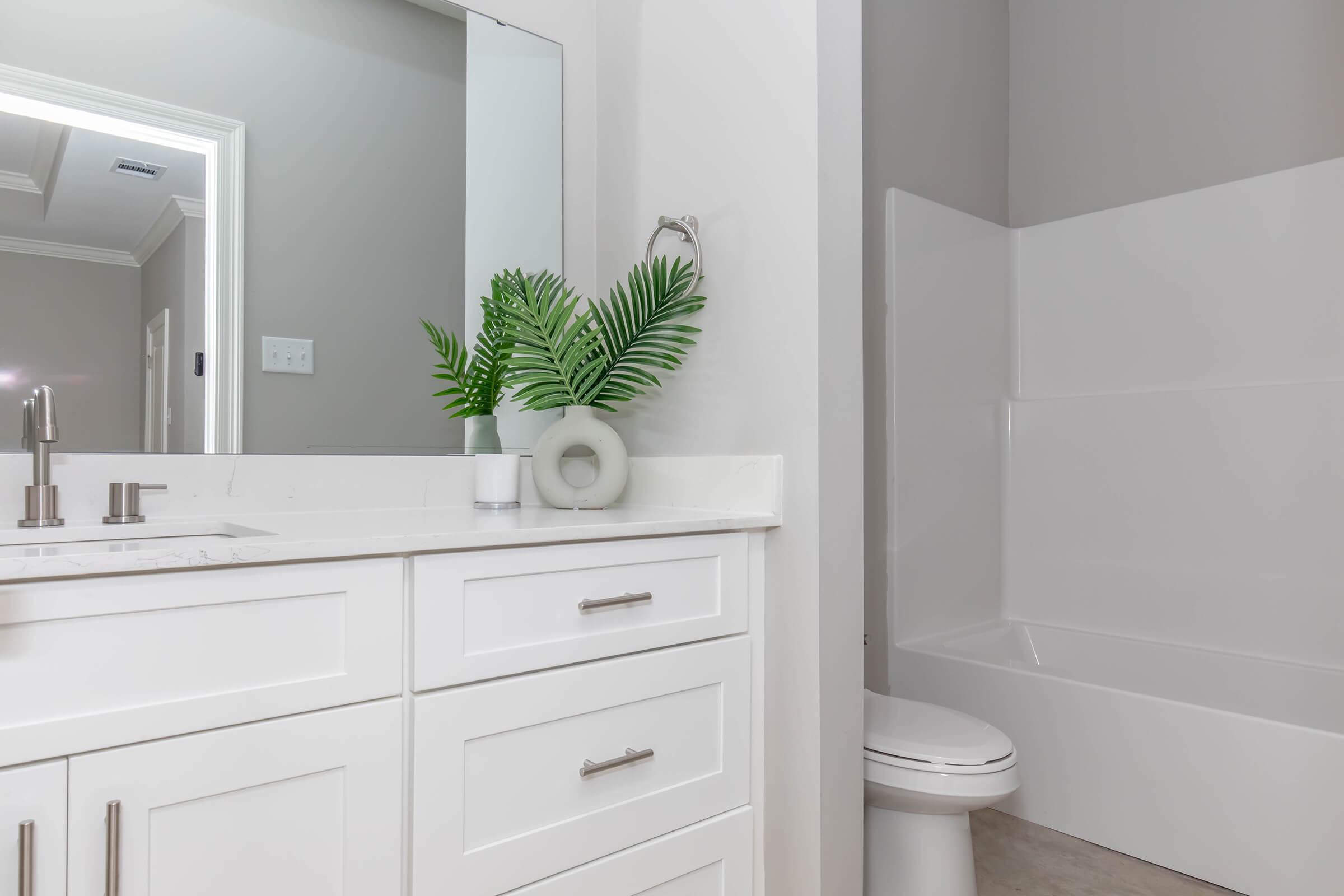 A modern bathroom featuring a white vanity with silver hardware, a large mirror, and a decorative plant. To the right, there is a white toilet and a bathtub with a shower. The walls are painted in a light gray color, and the overall design is clean and contemporary.
