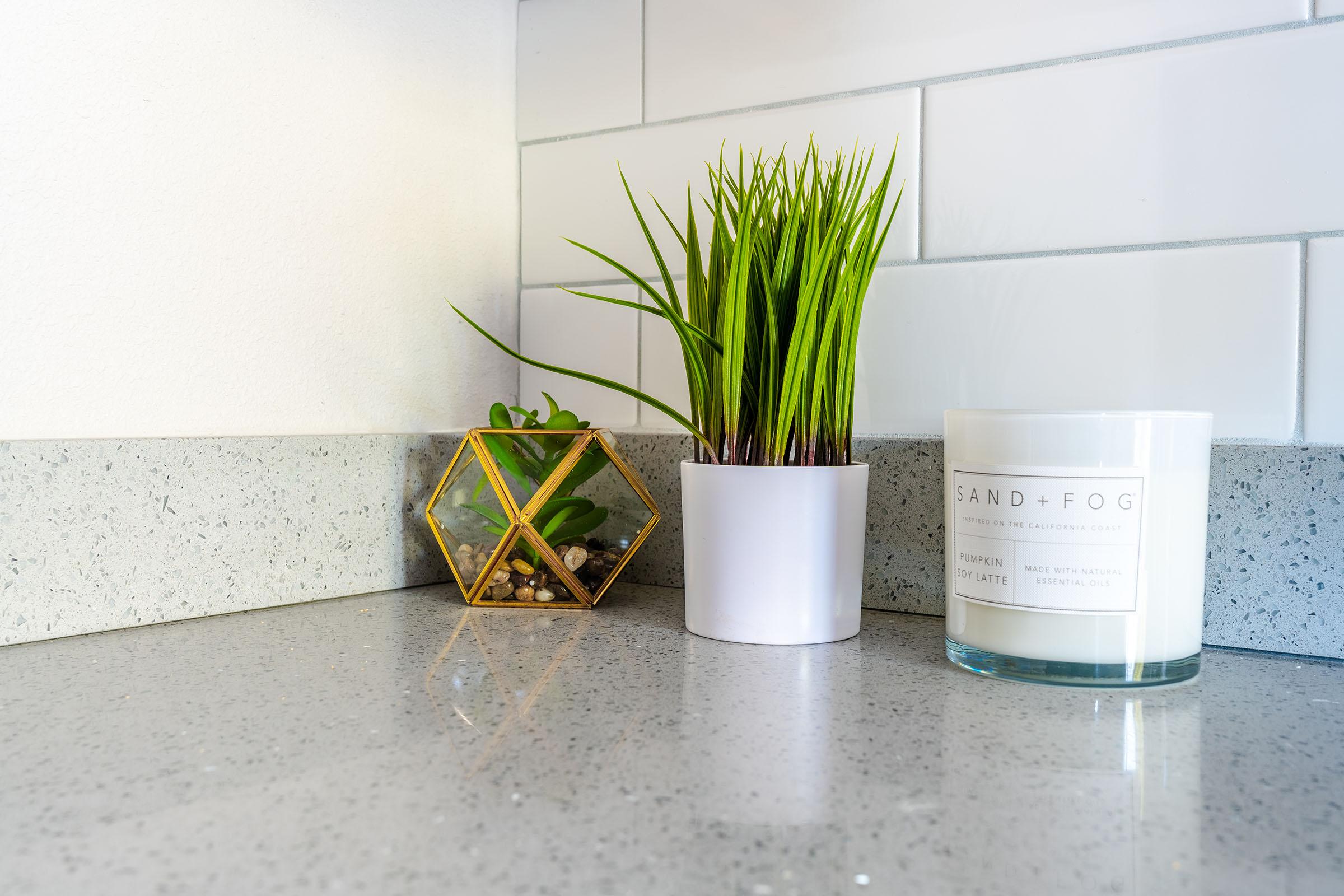Succulent, plant, and candle on top of grey quartz kitchen countertops