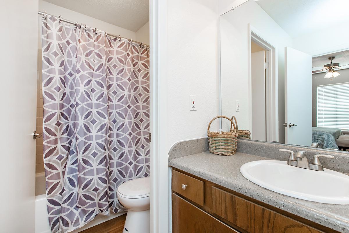 a shower that has a sink and a mirror