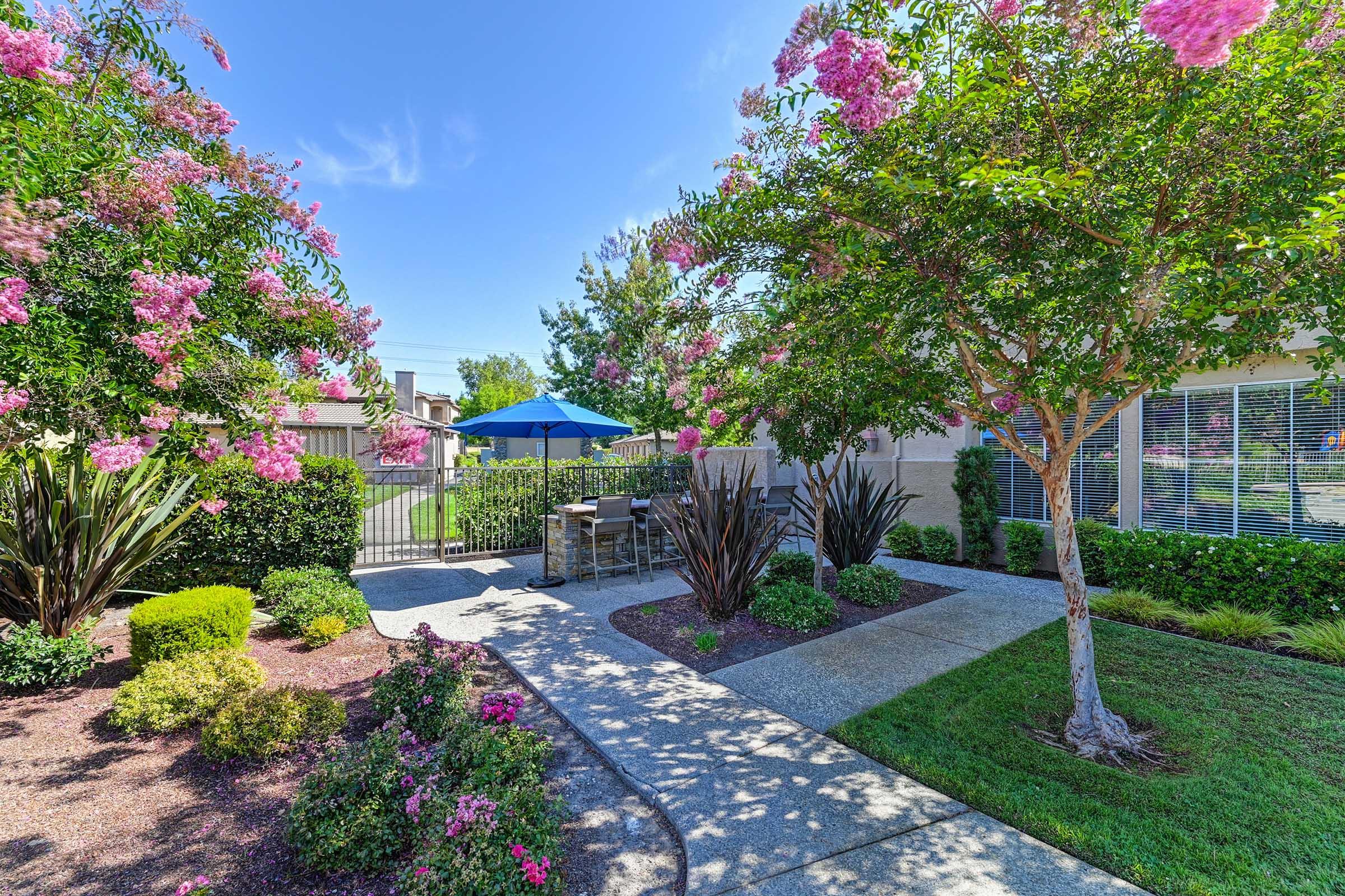 Lush garden with flowering trees and bushes, featuring a stone pathway leading to a seating area with an umbrella. The sky is clear blue, and the garden is well-maintained, creating a serene outdoor space.