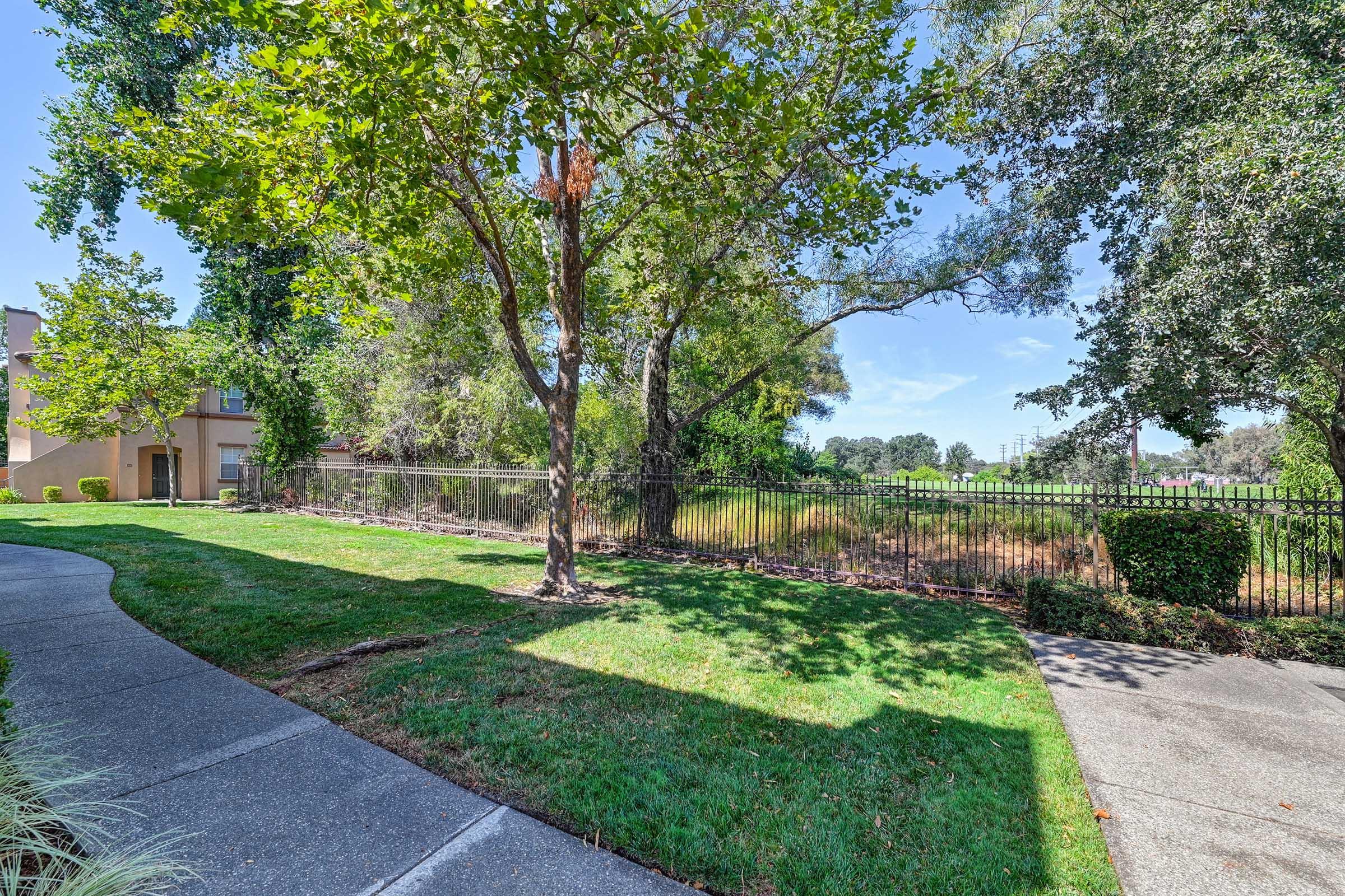A landscaped pathway leads through a green lawn towards a fenced area with trees. The scene is bright and sunny, showcasing a well-maintained outdoor space with open sky visible above.
