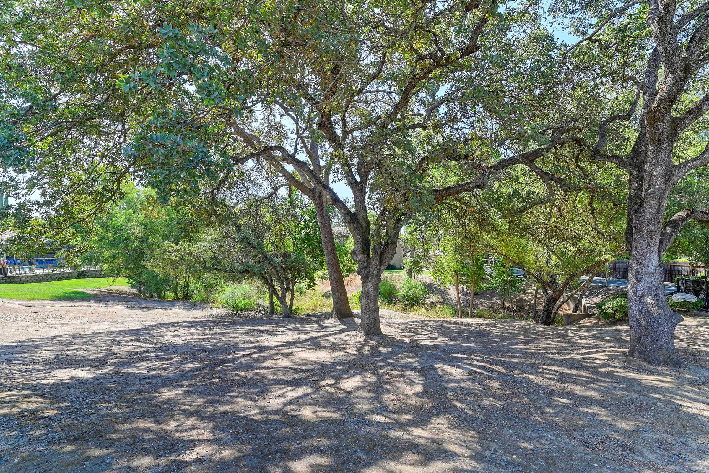 A scenic outdoor view featuring several large trees with lush green foliage, casting dappled shadows on the ground. The area is partially shaded, with a clear sky visible above and a glimpse of additional greenery in the background, creating a tranquil natural setting.