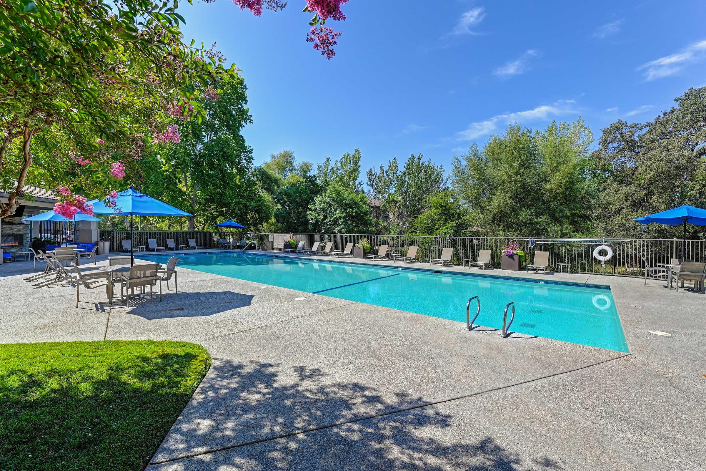 A serene outdoor swimming pool surrounded by lush greenery, featuring comfortable lounge chairs and umbrellas. The pool is clear and inviting, with trees and colorful flowers adding to the tranquil atmosphere. A pathway leads to the pool area, creating an inviting space for relaxation.