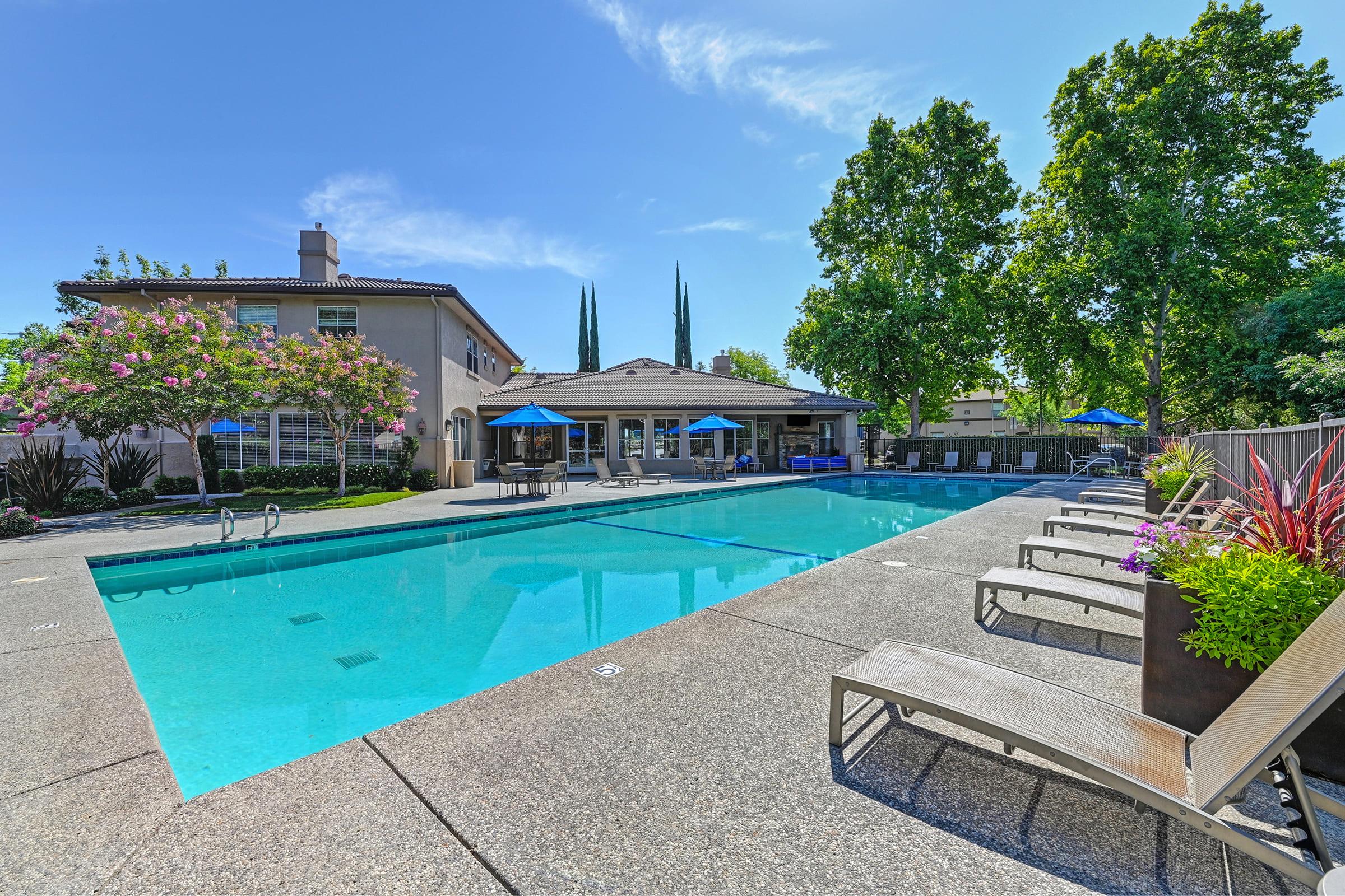 A clear swimming pool surrounded by lounge chairs, with a backdrop of a modern building and tall trees. Bright blue umbrellas provide shade, and colorful plants add a decorative touch to the pool area, all under a clear blue sky.