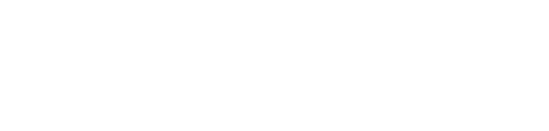 Bridges at Woodcreek Oaks ebrochure logo