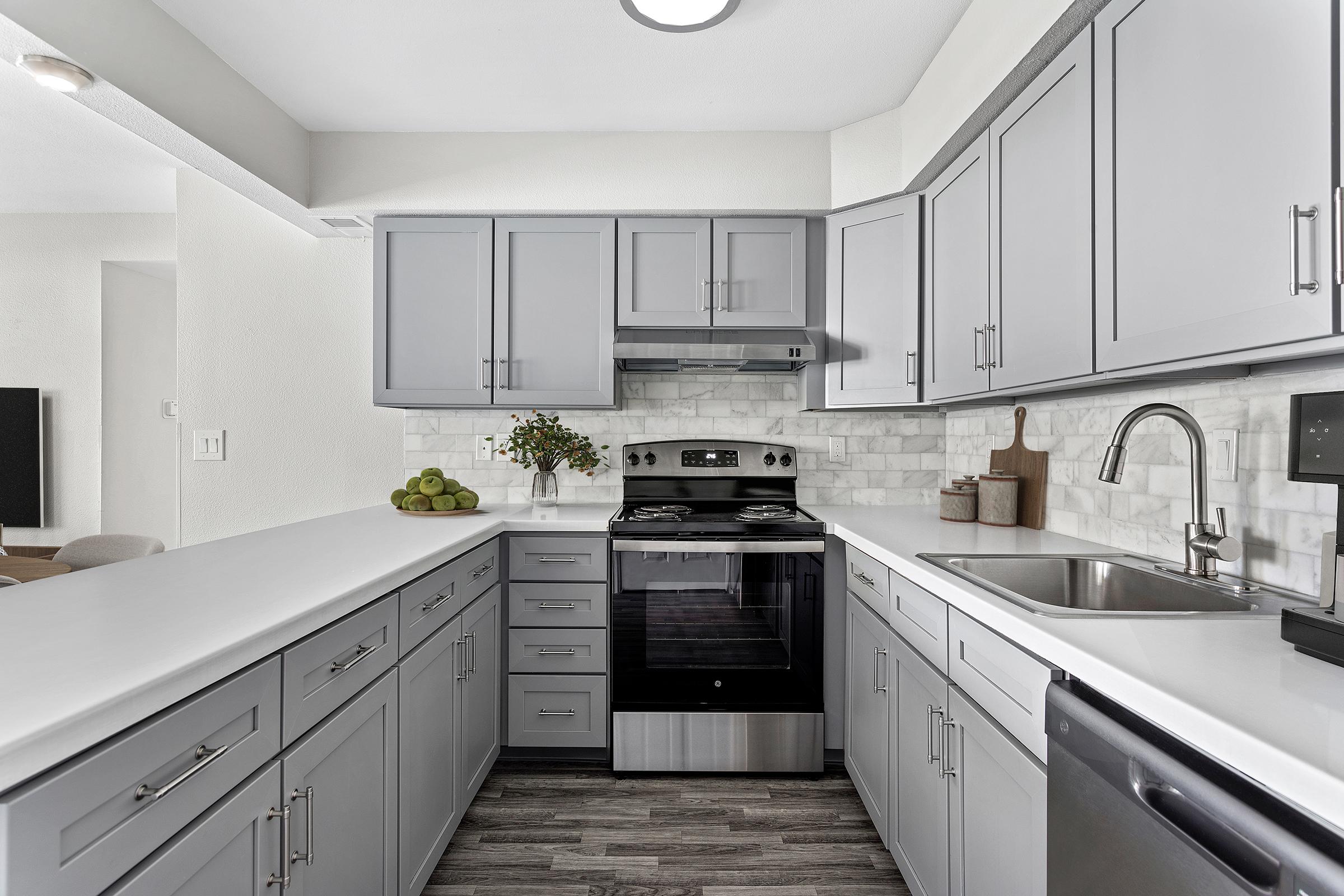 Modern kitchen featuring gray cabinets, a sleek countertop, stainless steel appliances, and a decorative backsplash. The space includes a stove, oven, and sink, with green apples arranged on the counter. Natural light brightens the room, creating a clean and inviting atmosphere.