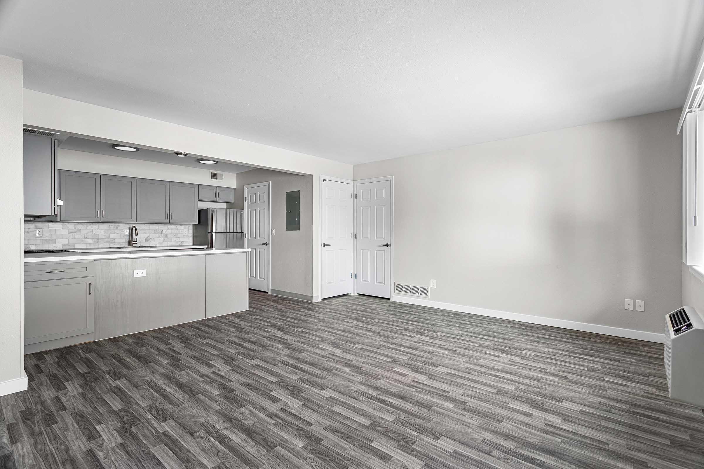 Bright, modern apartment interior featuring an open floor plan. The spacious living area has light gray walls, laminate flooring, and a clean kitchen with gray cabinetry and a tiled backsplash. Two doors lead to other rooms, enhancing the sense of space and natural light.