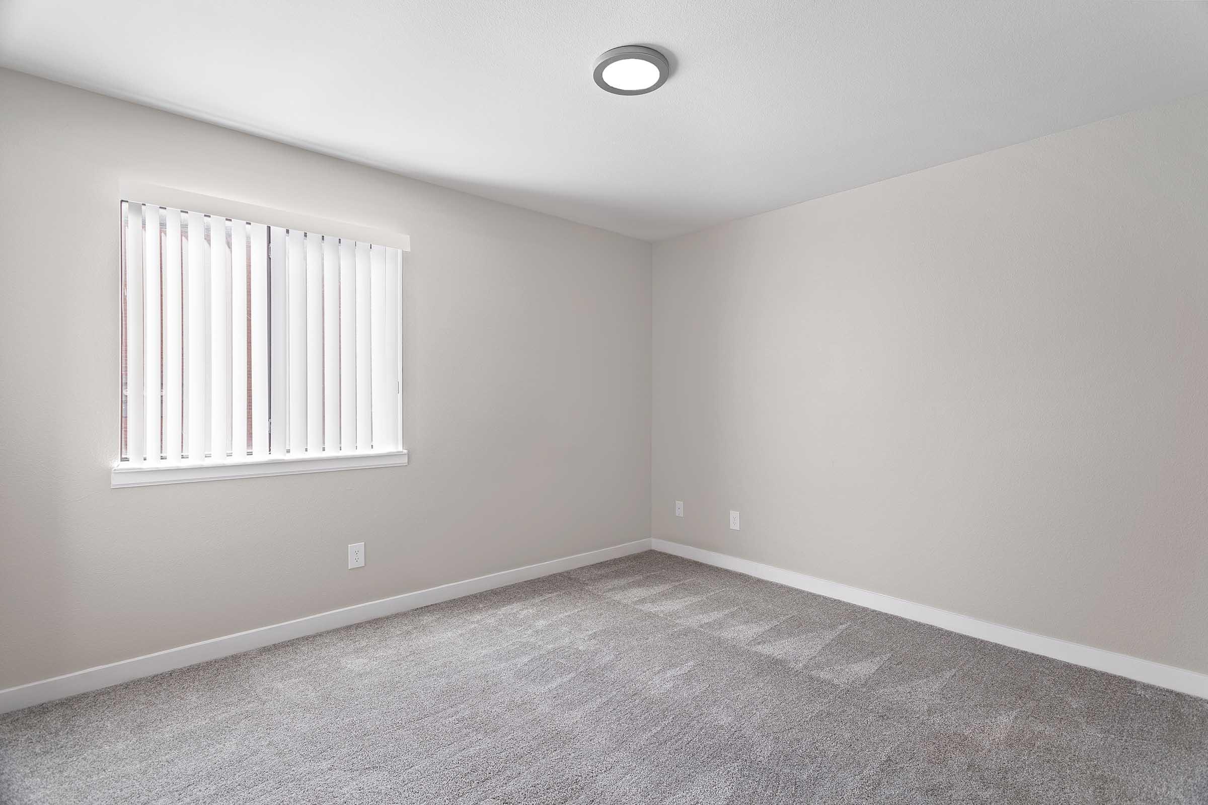 Empty room with light gray carpet and neutral-colored walls. A window with white blinds is on one wall, allowing natural light to enter. The ceiling features a simple light fixture. The space appears clean and ready for furniture.