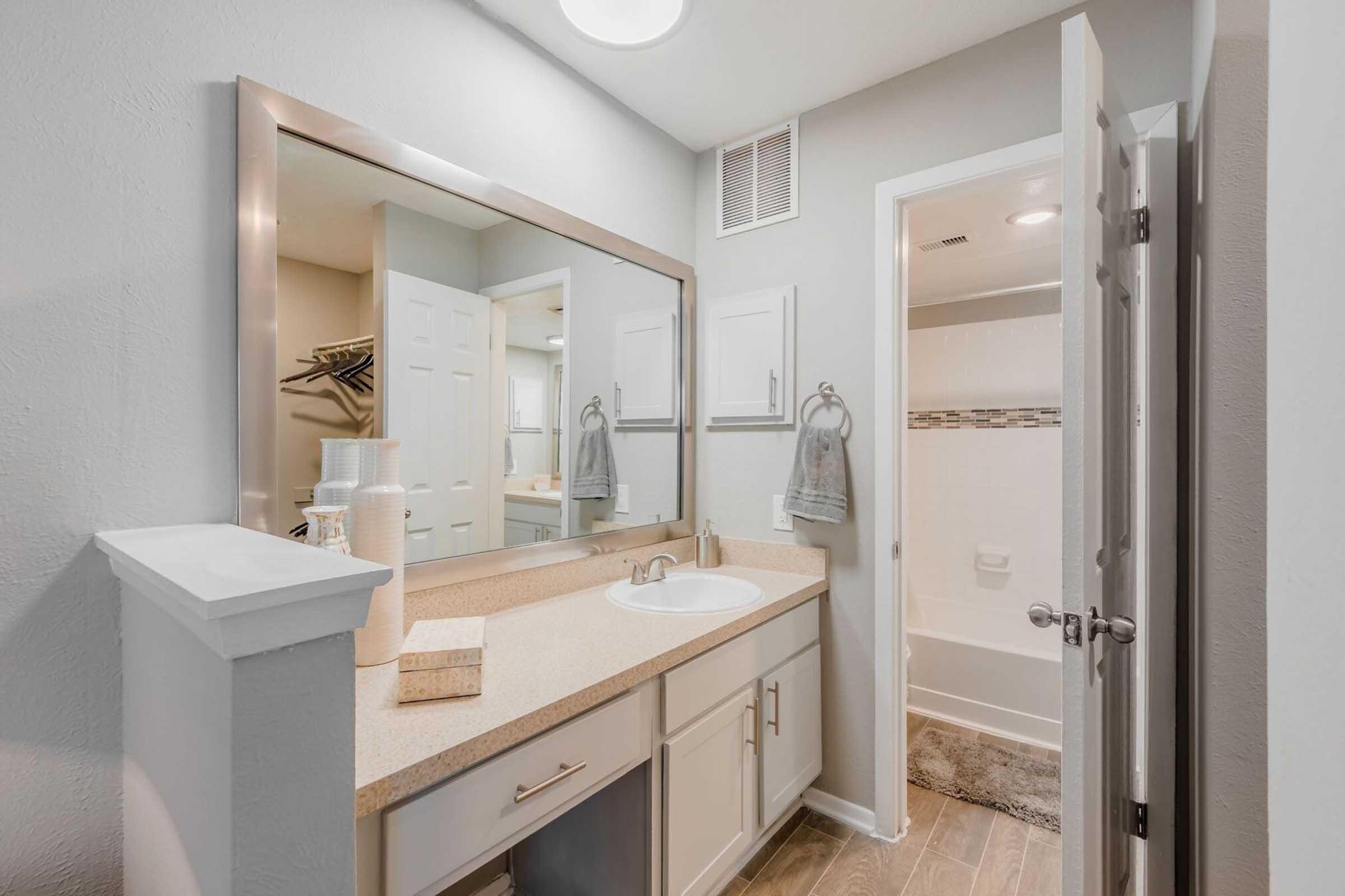A modern bathroom featuring a large mirror above a stone countertop with a sink and soap dispenser. The walls are painted light gray, and there's a towel rack nearby. In the background, a shower and bathtub area is visible, with a door slightly ajar leading to another room. The overall aesthetic is clean and inviting.