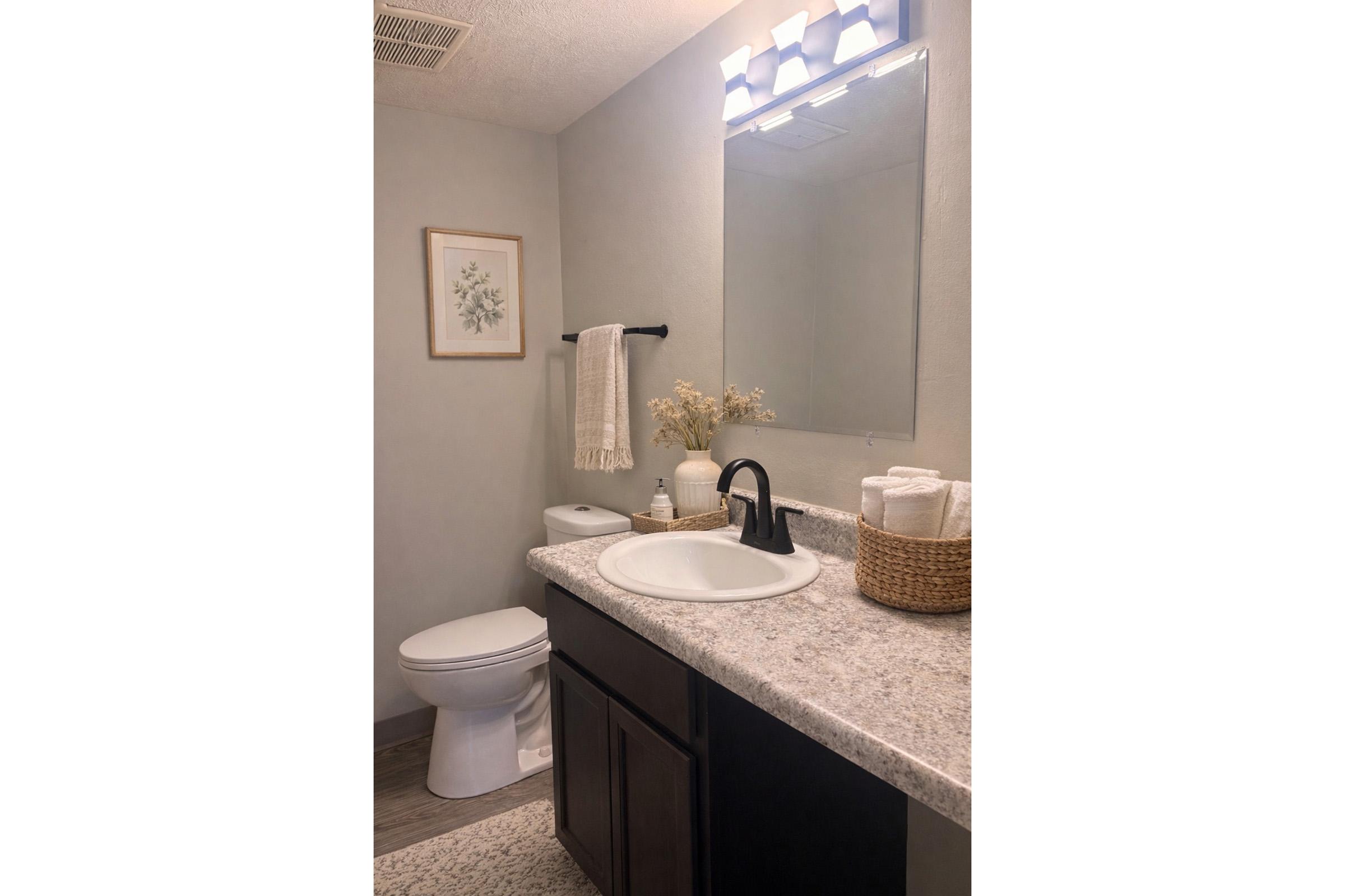 A modern bathroom featuring a white sink with a dark faucet, a wall-mounted mirror, and a decorative wall art piece. The countertop is made of light-colored granite, with neatly arranged towels and a wicker basket. A toilet is visible, along with a towel rack and a small arrangement of dried flowers in a vase.