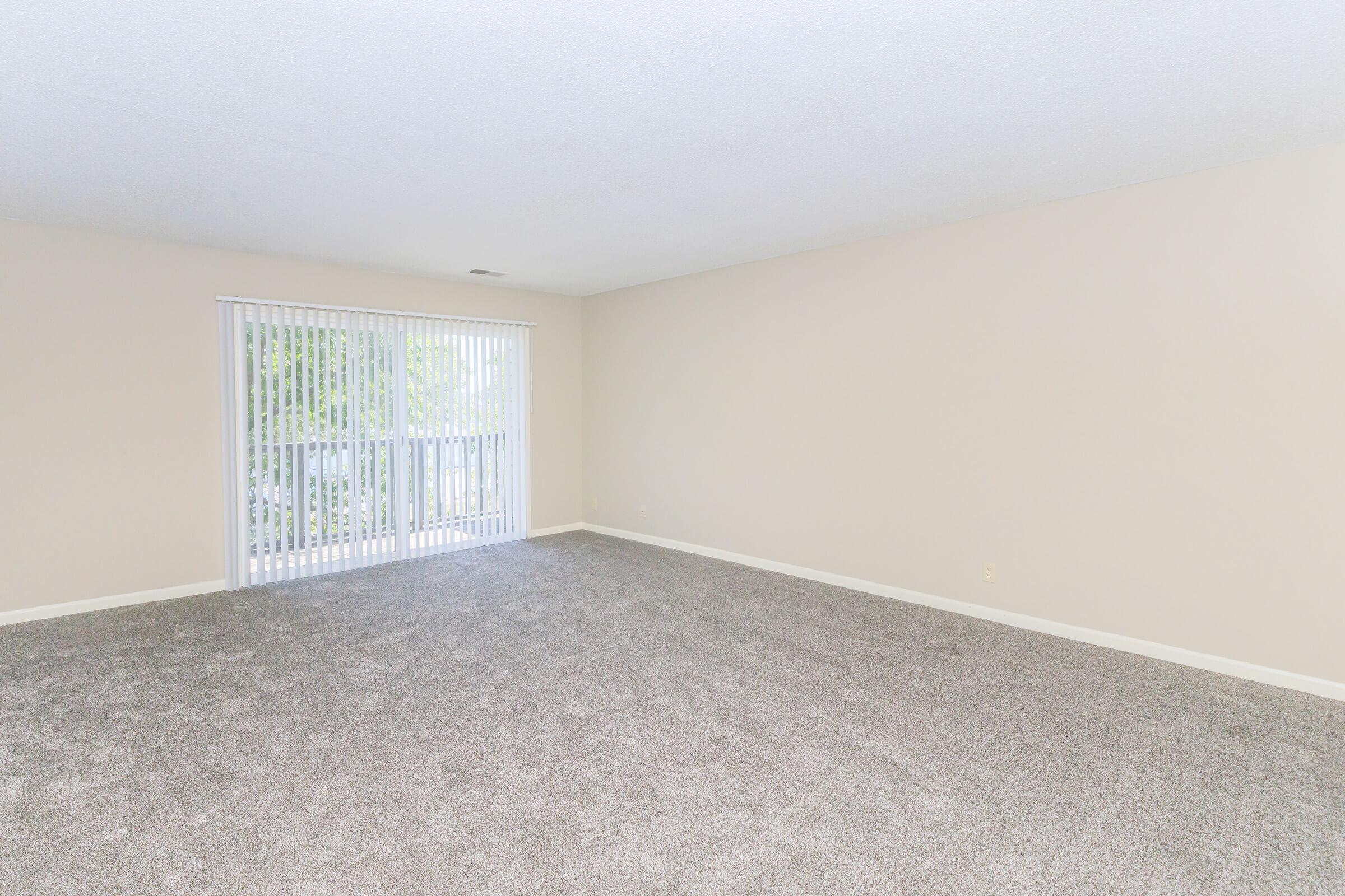 Empty living room with light beige walls and plush gray carpet. It features a large sliding glass door with vertical blinds that opens to a balcony, allowing natural light to brighten the space. The room is spacious and devoid of furniture, giving a clean and airy feel.