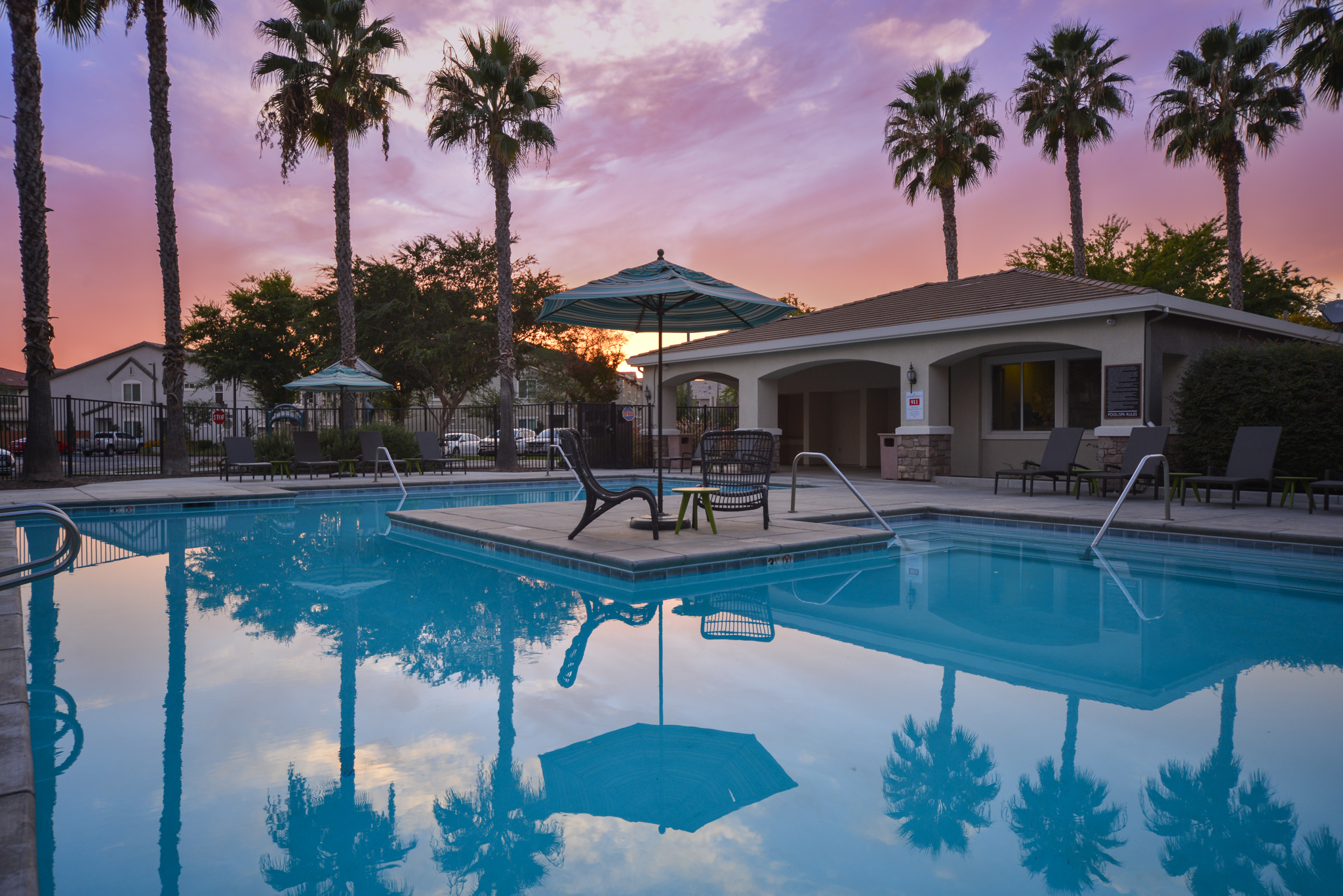 a group of palm trees next to a pool of water