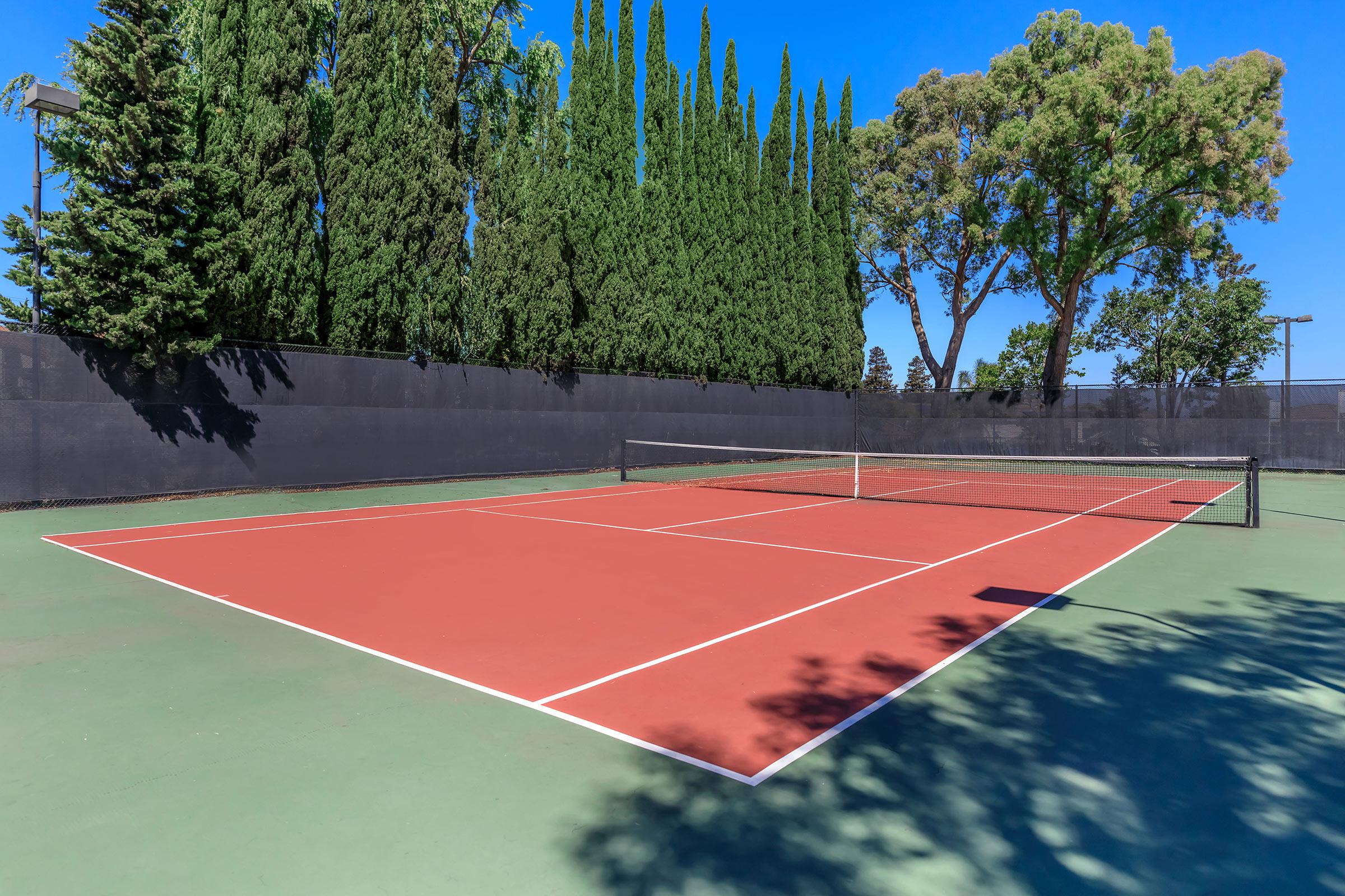 CHALLENGE NEIGHBORS TO A GAME OF TENNIS