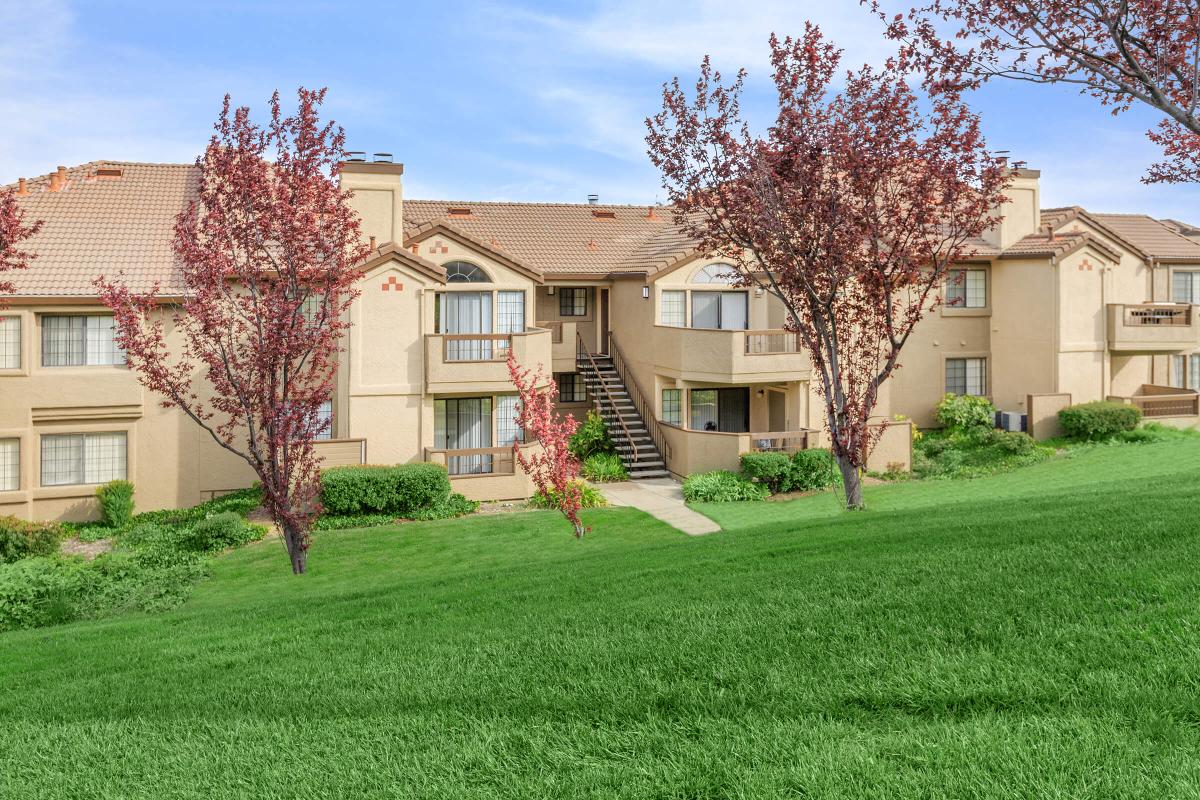 a large lawn in front of a house