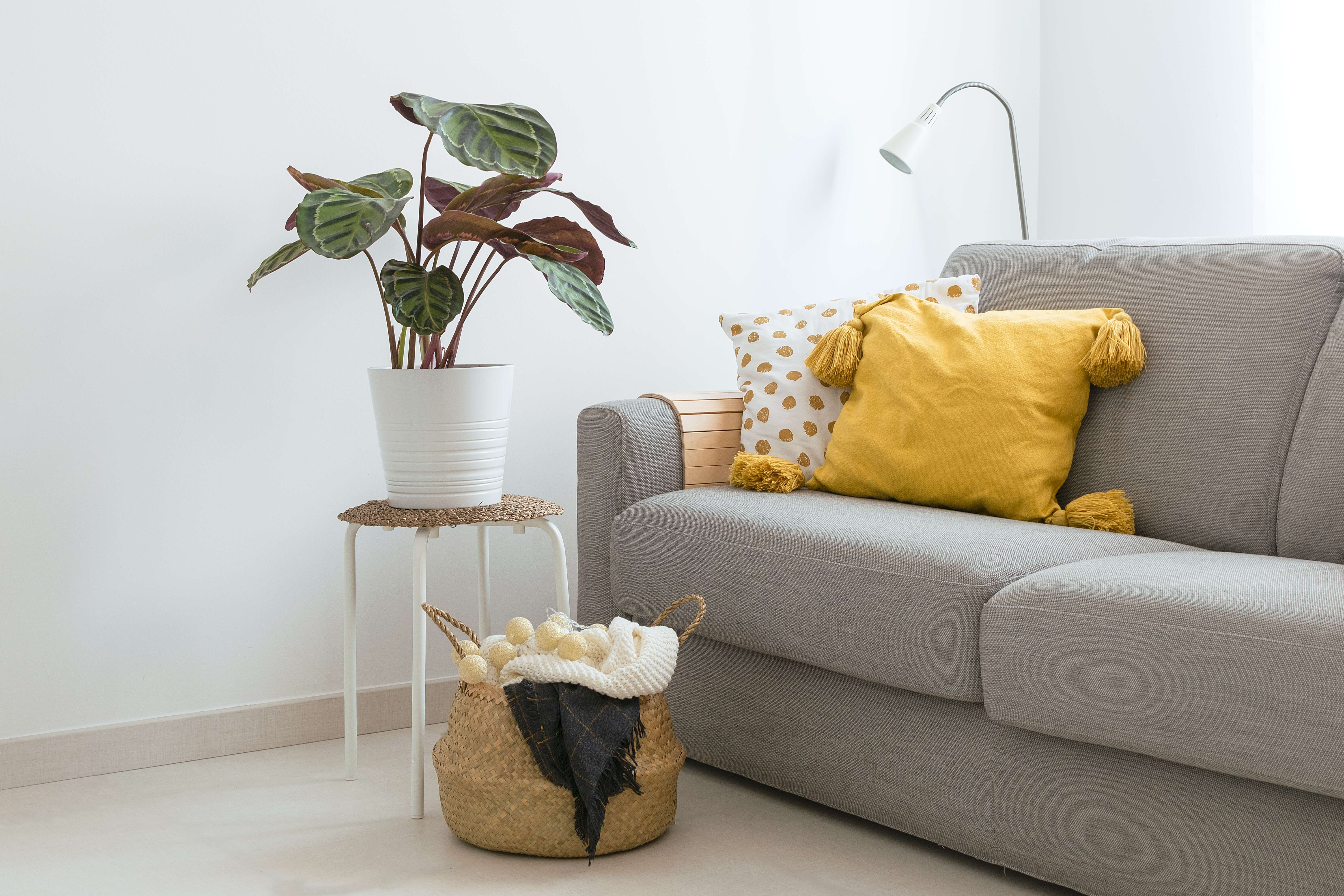 Apartment Features