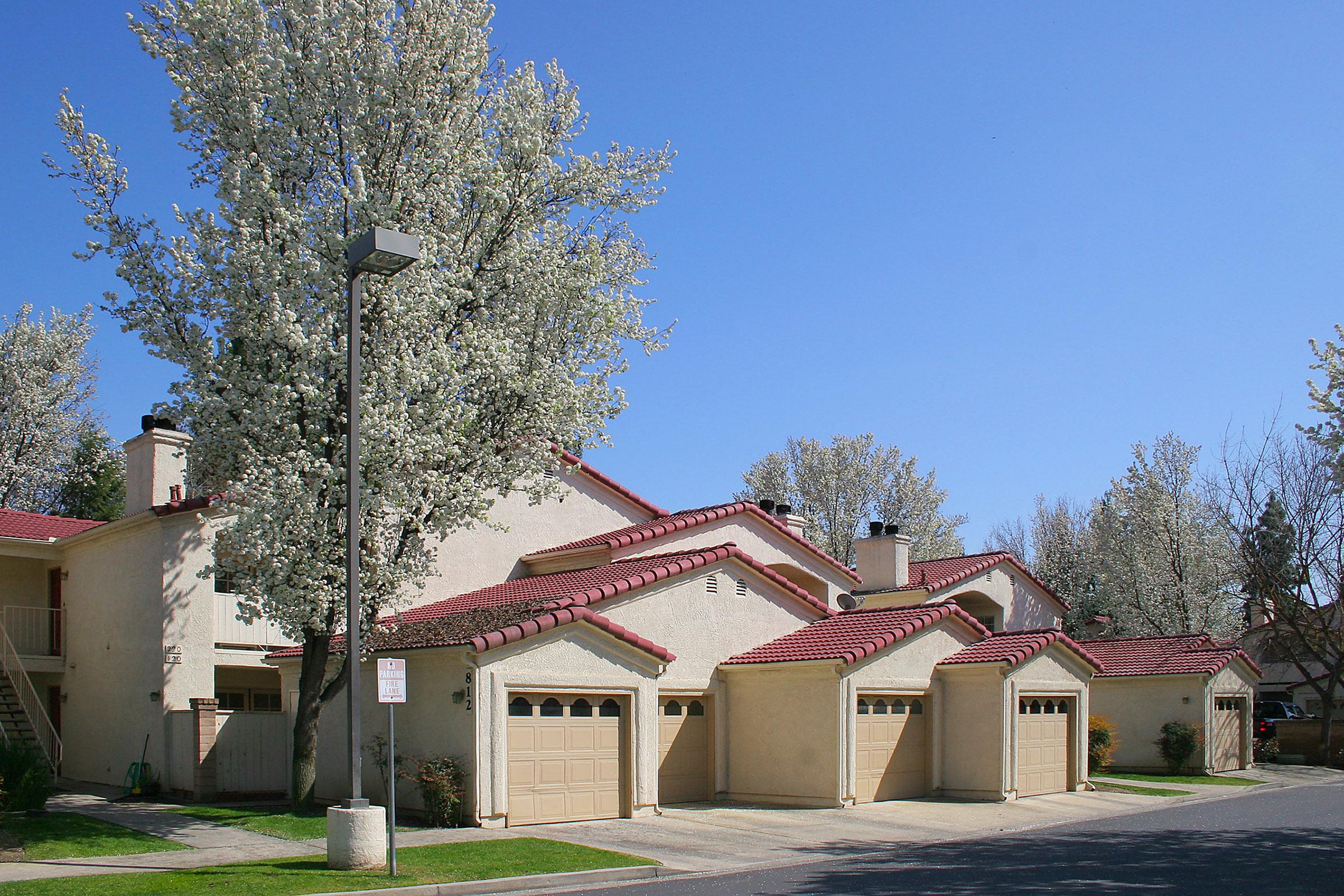 Row of beige residential garages with red-tiled roofs, alongside a tree with white blossoms. Clear blue sky above. The scene is well-lit, showcasing a suburban setting with neatly maintained landscaping.