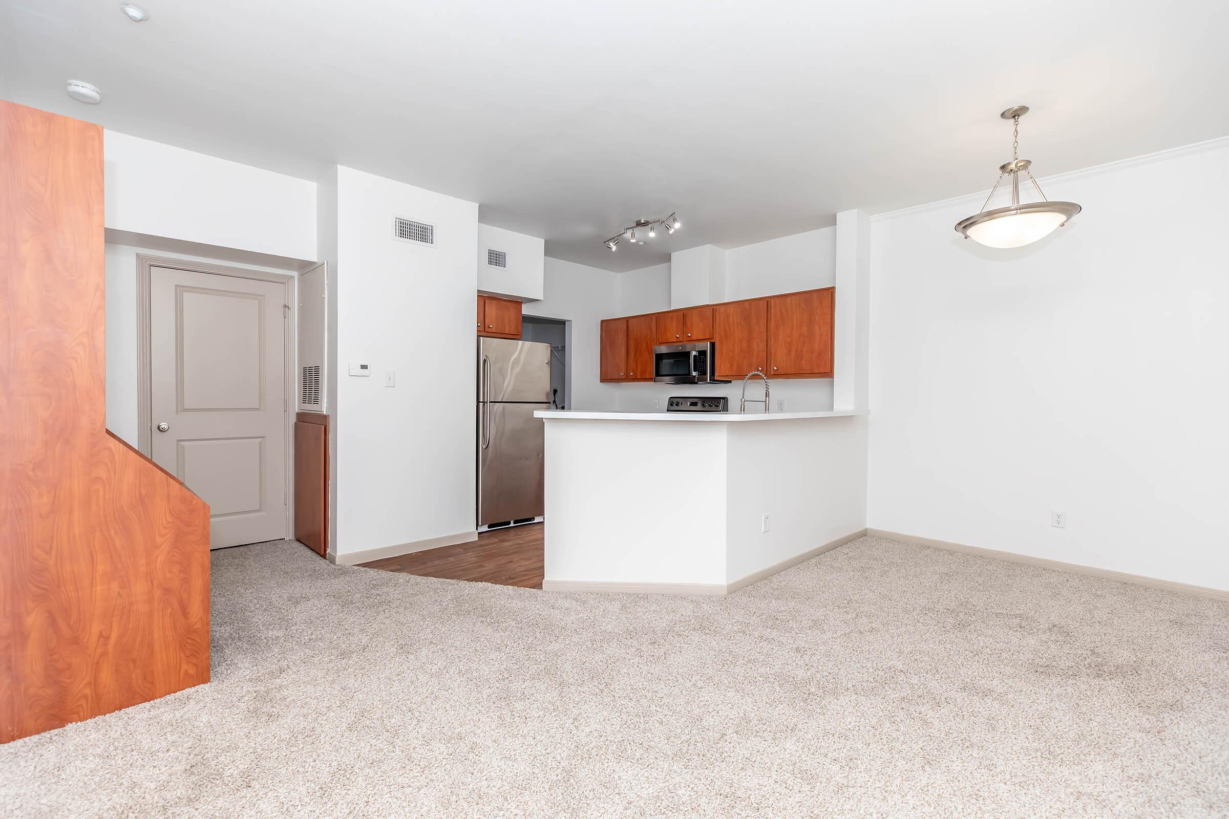 Carpeted Flooring in Living Room