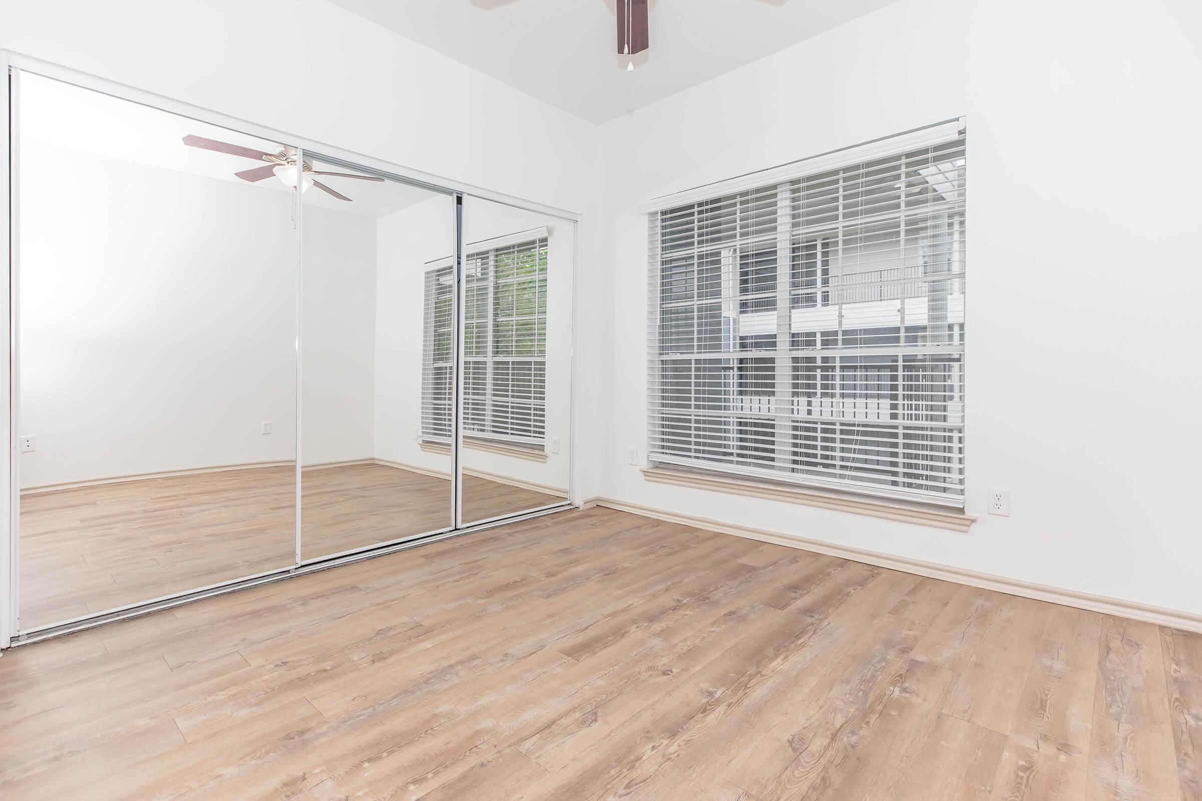 Large Mirrored Closet