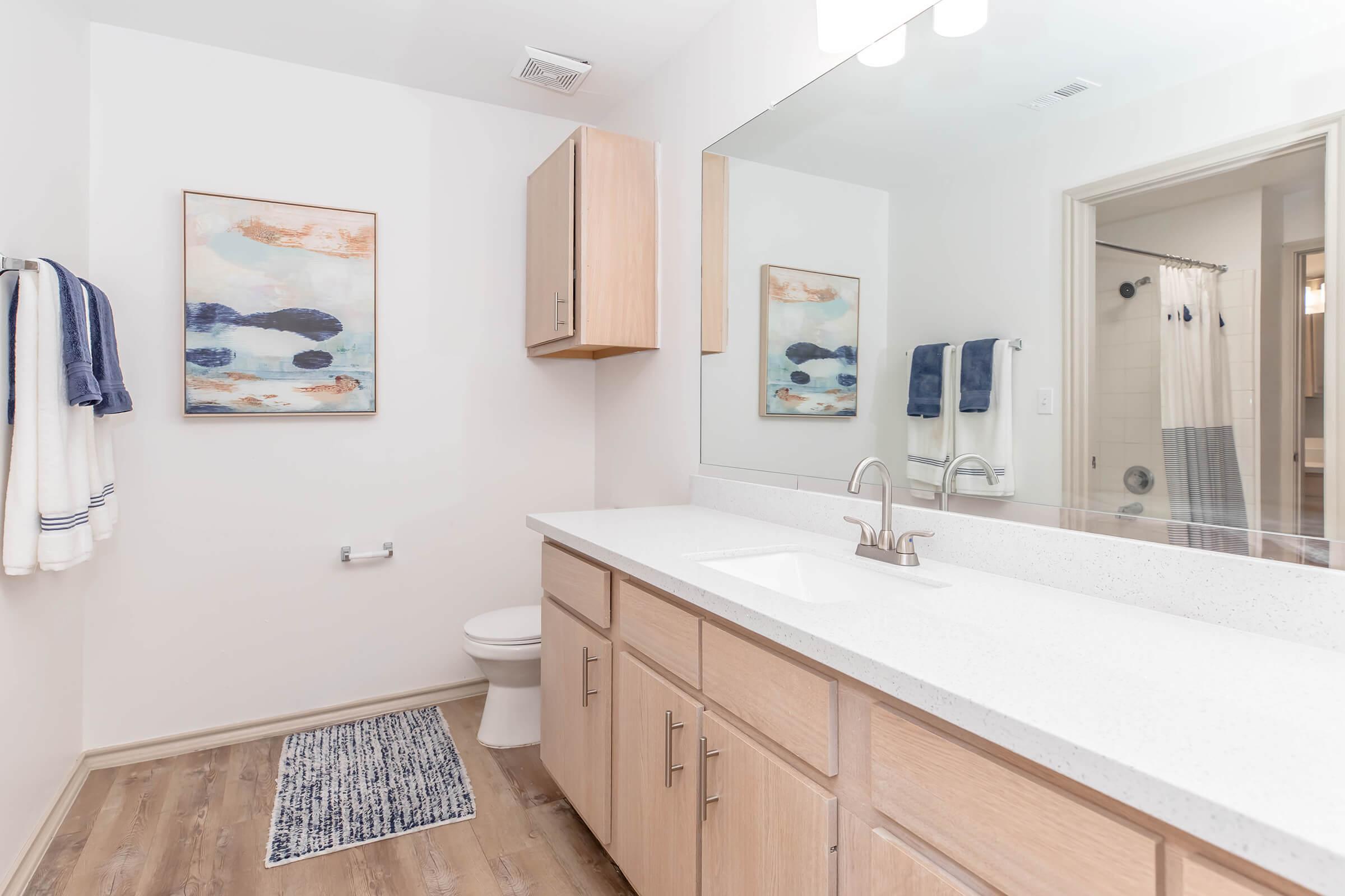 Get ready in style with this spacious bathroom featuring a large vanity, modern fixtures, and plenty of storage. It’s the perfect place to start and end your day with ease.