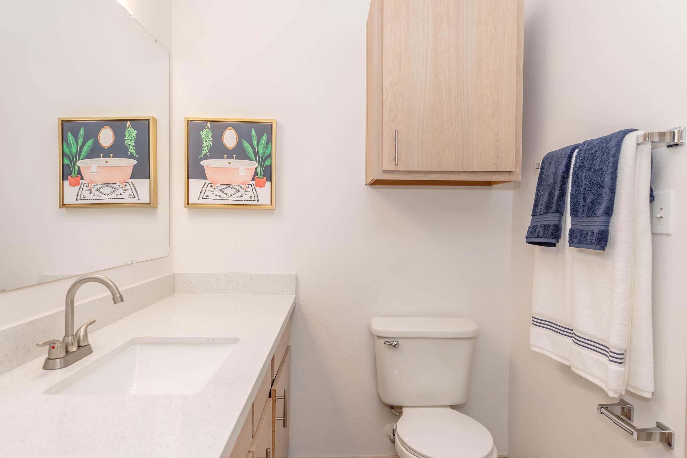 This stylish second bathroom is perfect for guests or roommates, featuring modern finishes, ample counter space, and sleek storage to keep everything neat and tidy.