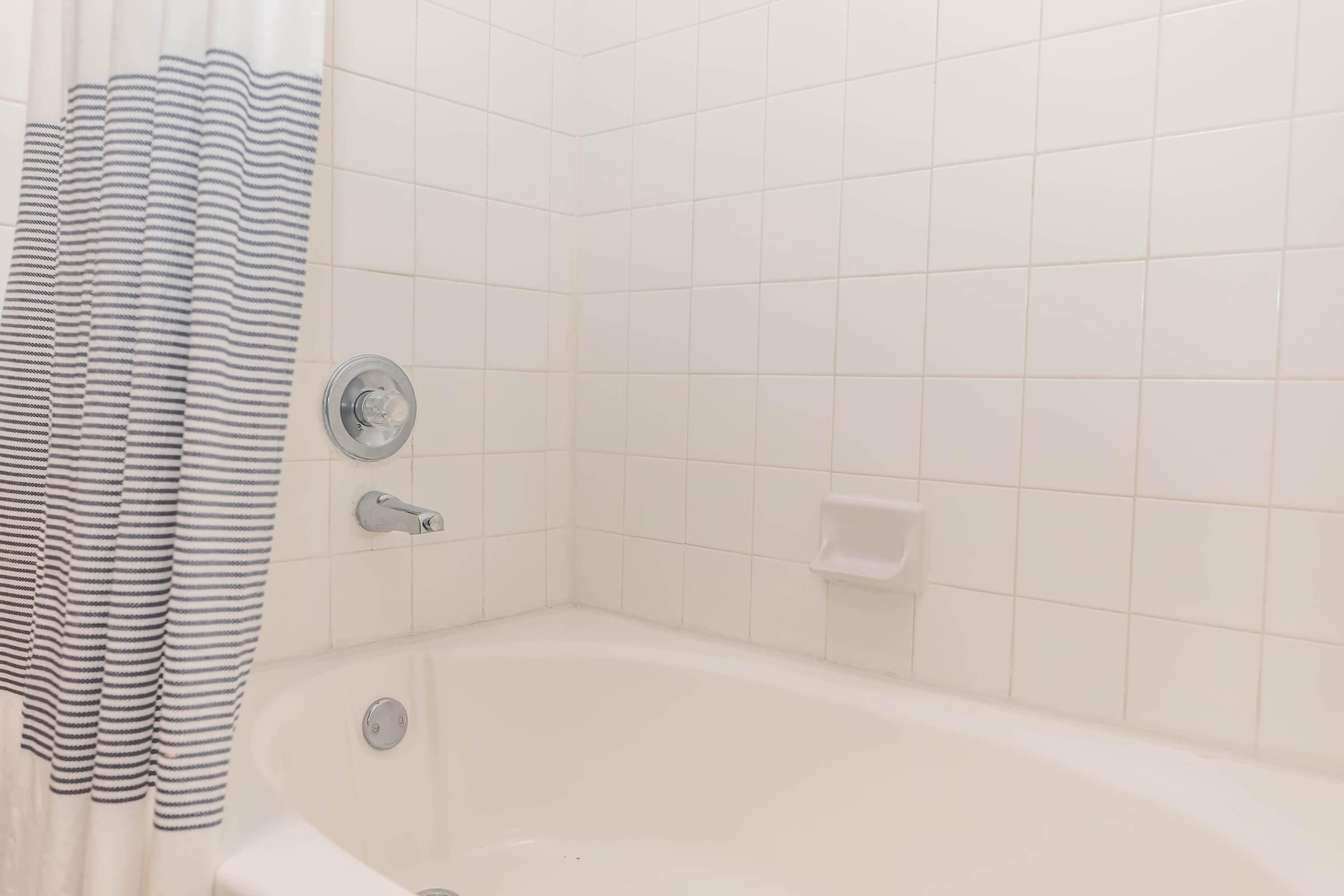 Spacious Tub with Shower